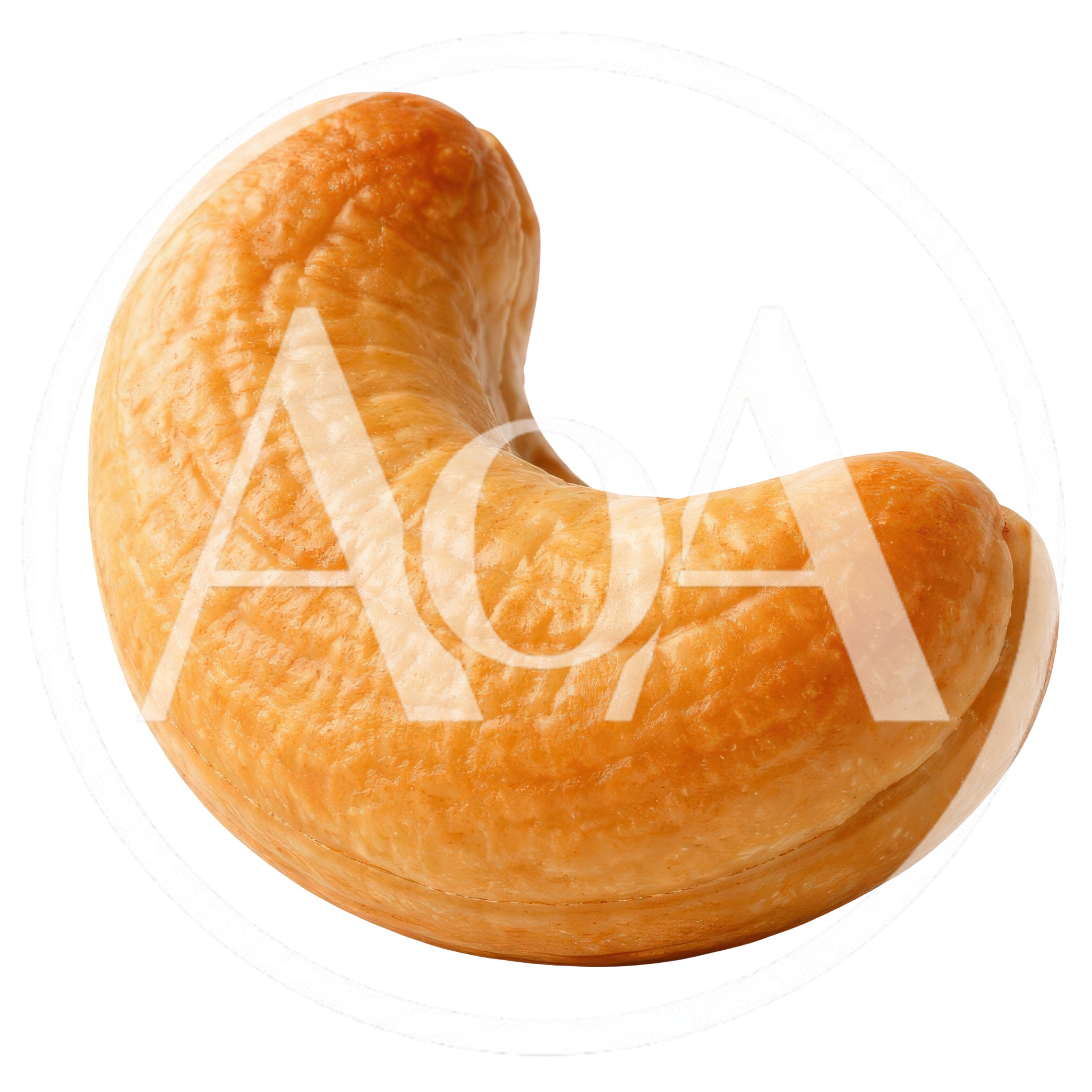 Single Roasted Cashew Nut Isolated On White Background