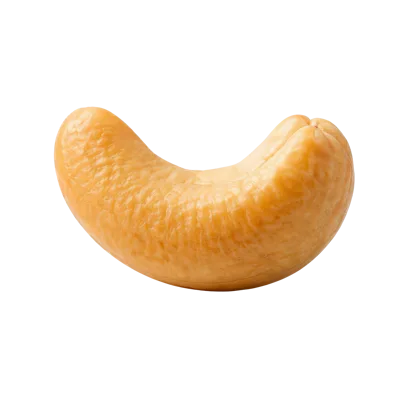 Single Roasted Cashew Nut Isolated On White Background