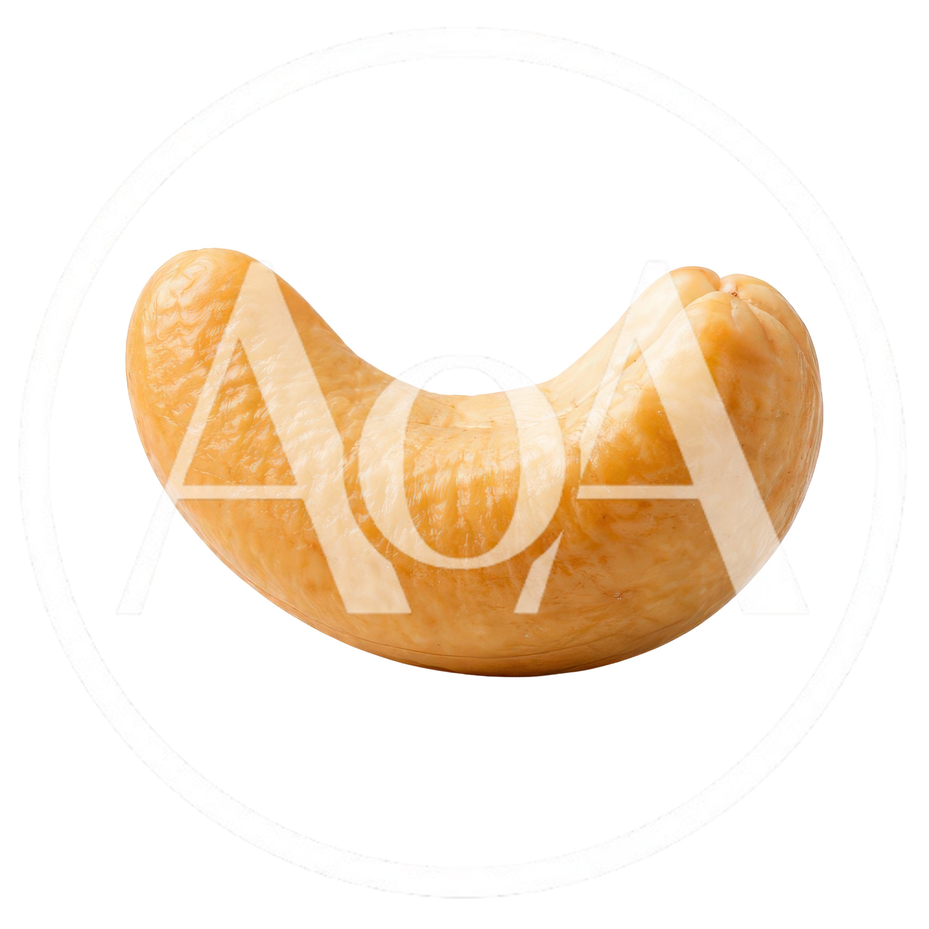 Single Roasted Cashew Nut Isolated On White Background