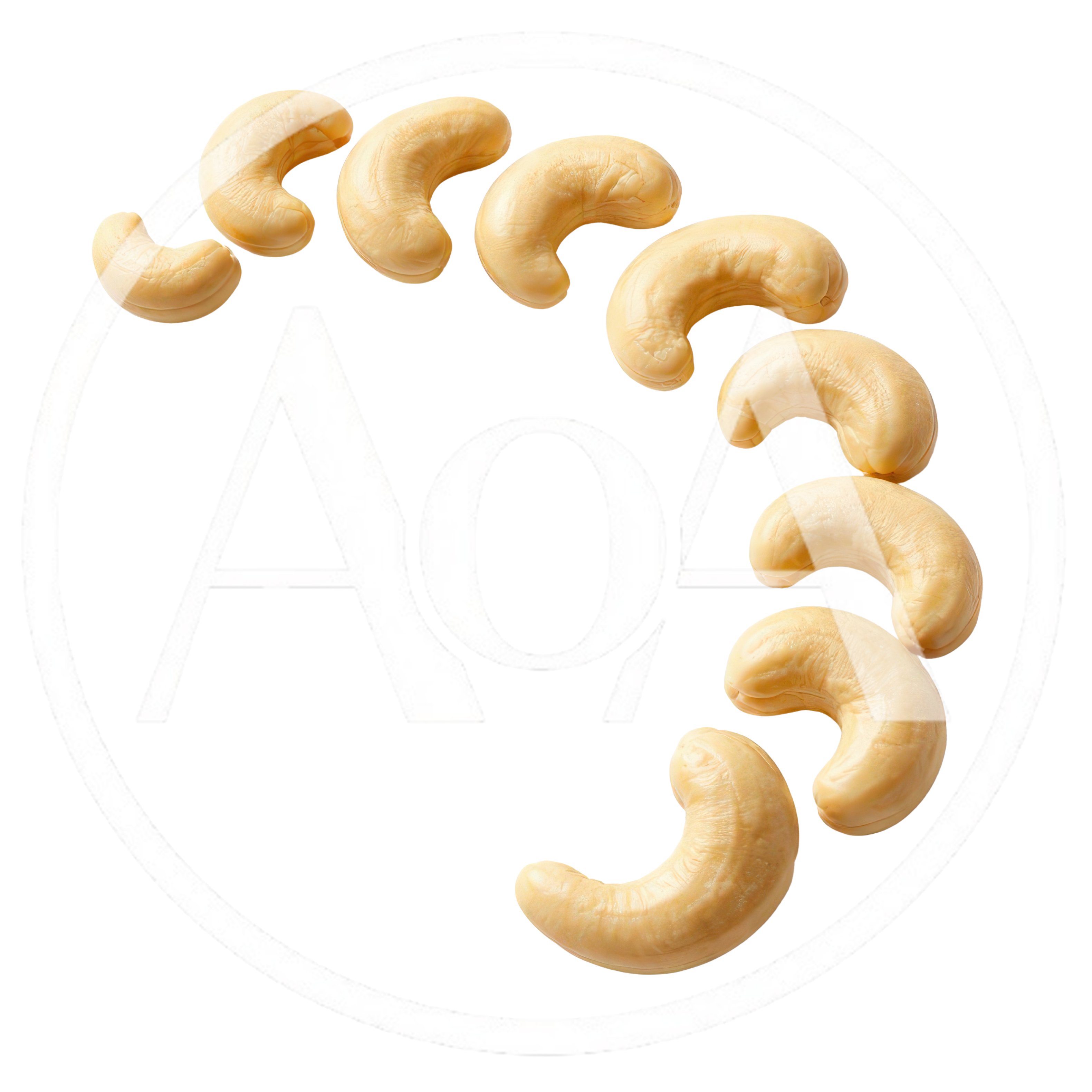 Cashew Nuts Arranged In A Circular Loading Pattern