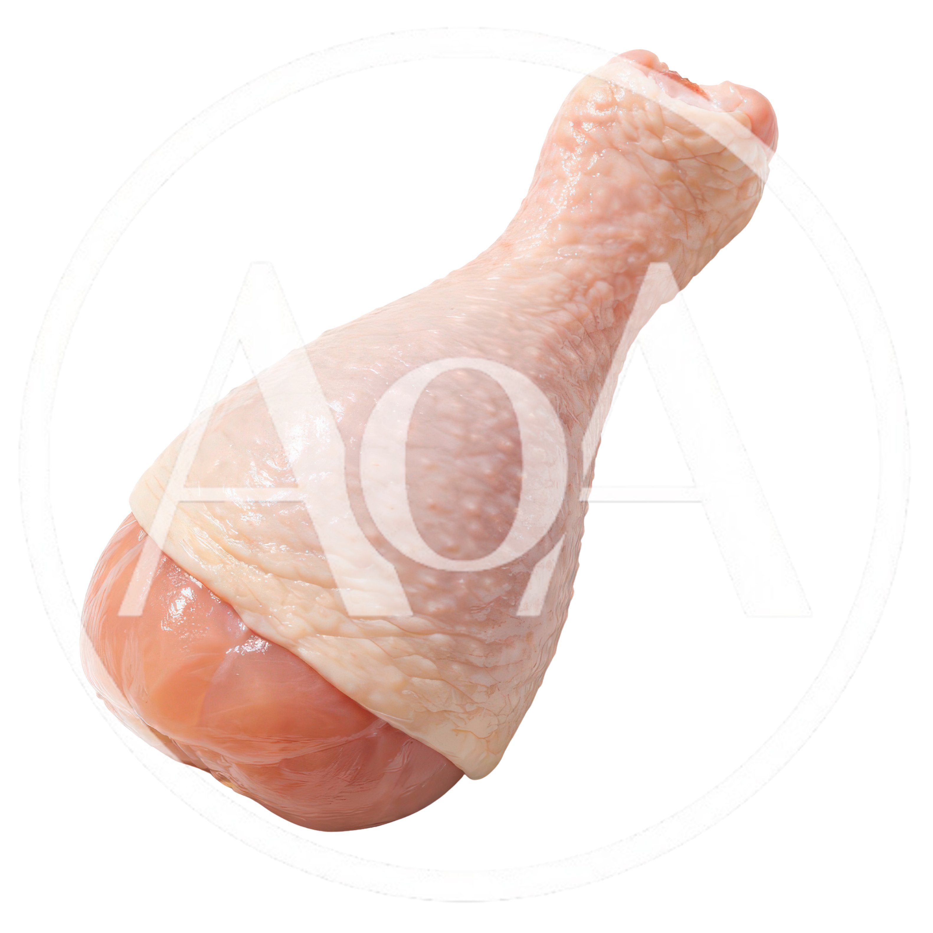 Raw Chicken Drumstick Isolated On White Background