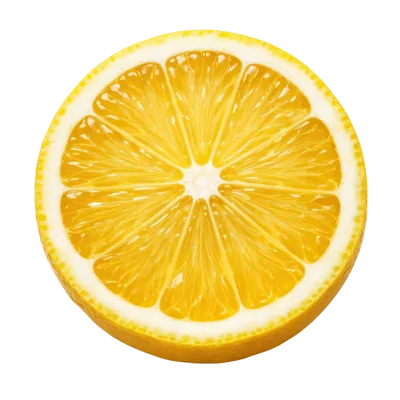 Fresh Lemon Slice Isolated On White Background