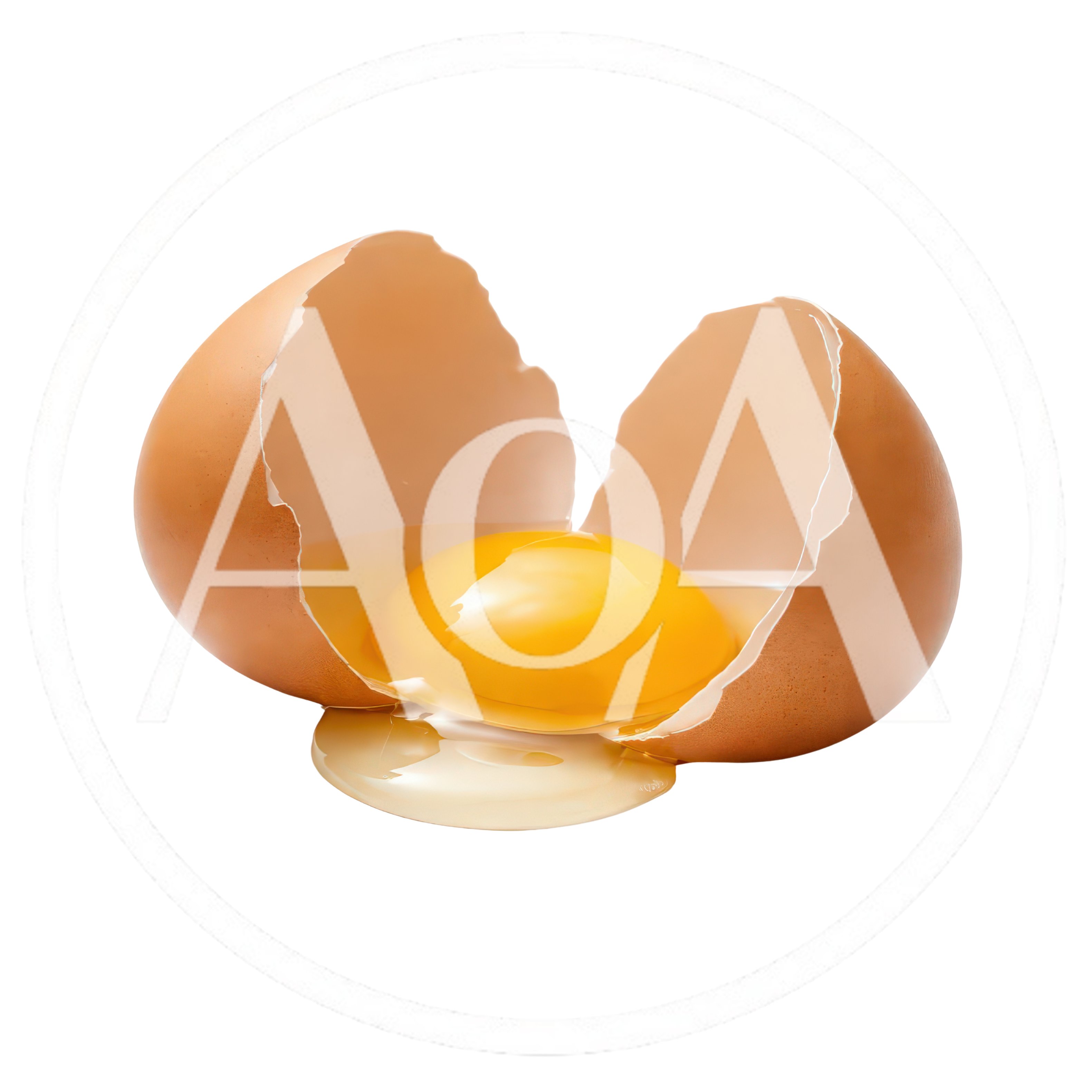 Cracked Brown Egg With Raw Yolk And White