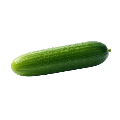 Fresh Green Cucumber Isolated On White Background