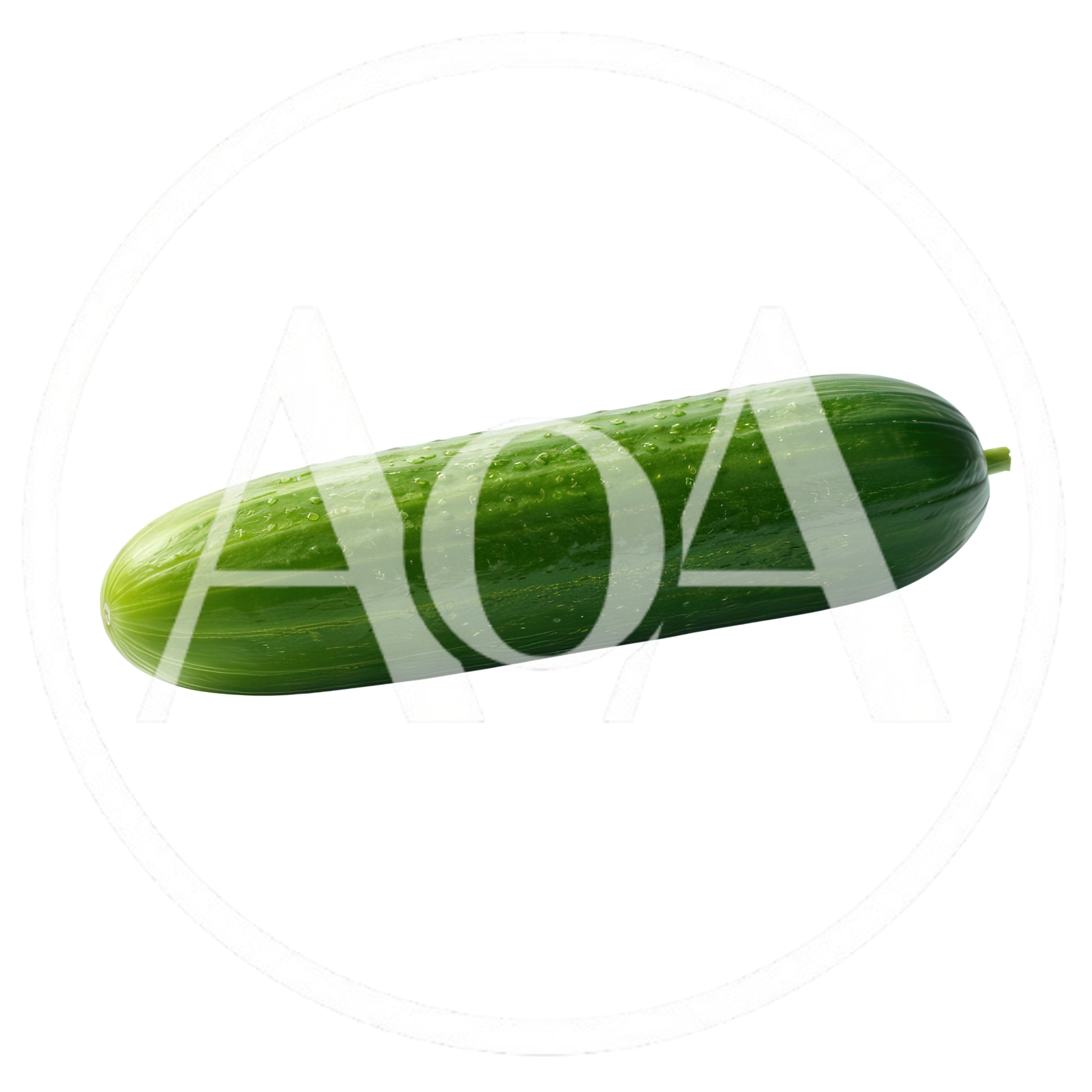 Fresh Green Cucumber Isolated On White Background