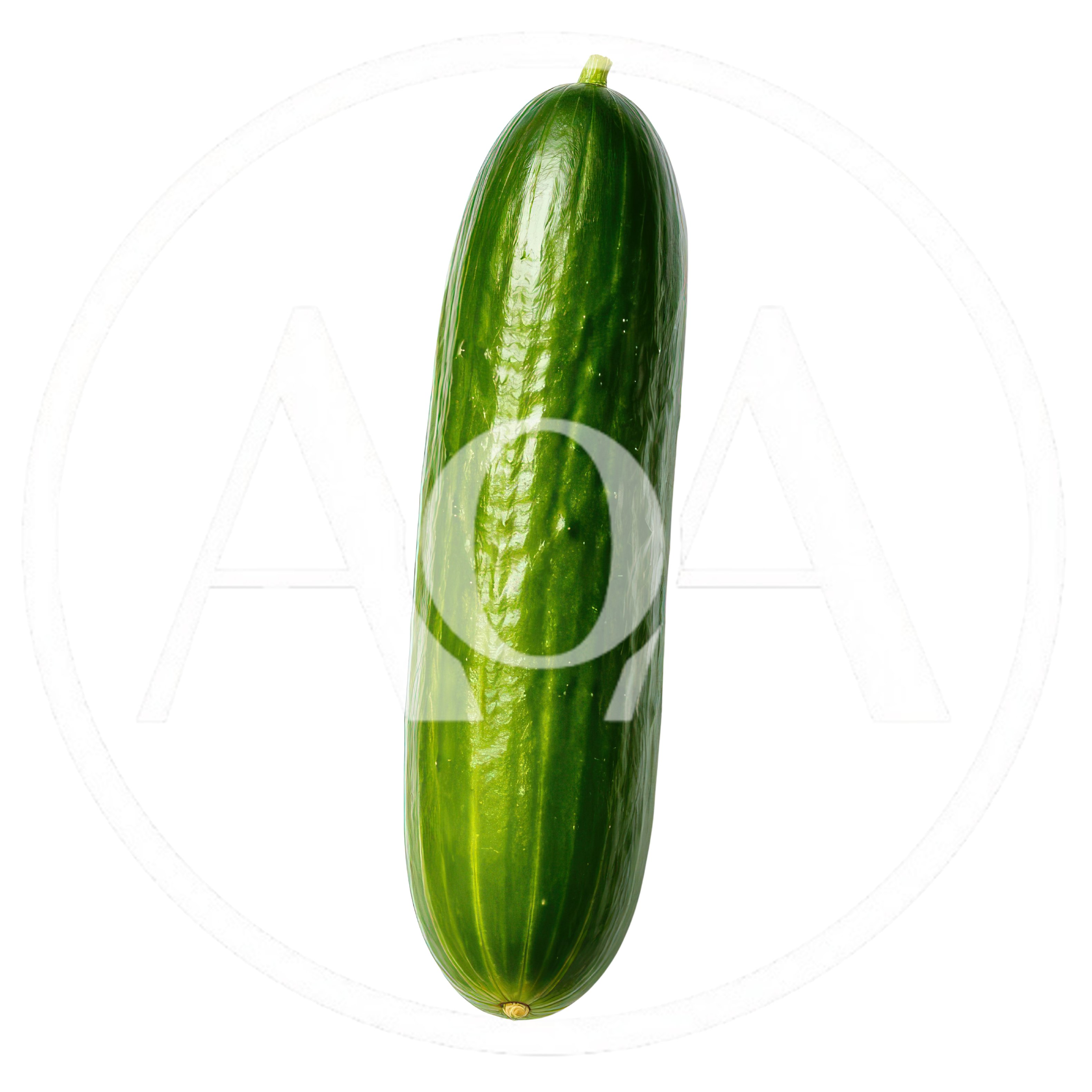 Single Fresh Green Cucumber Isolated On White Background