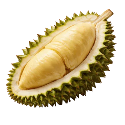 Fresh Durian Fruit Half With Creamy Yellow Flesh