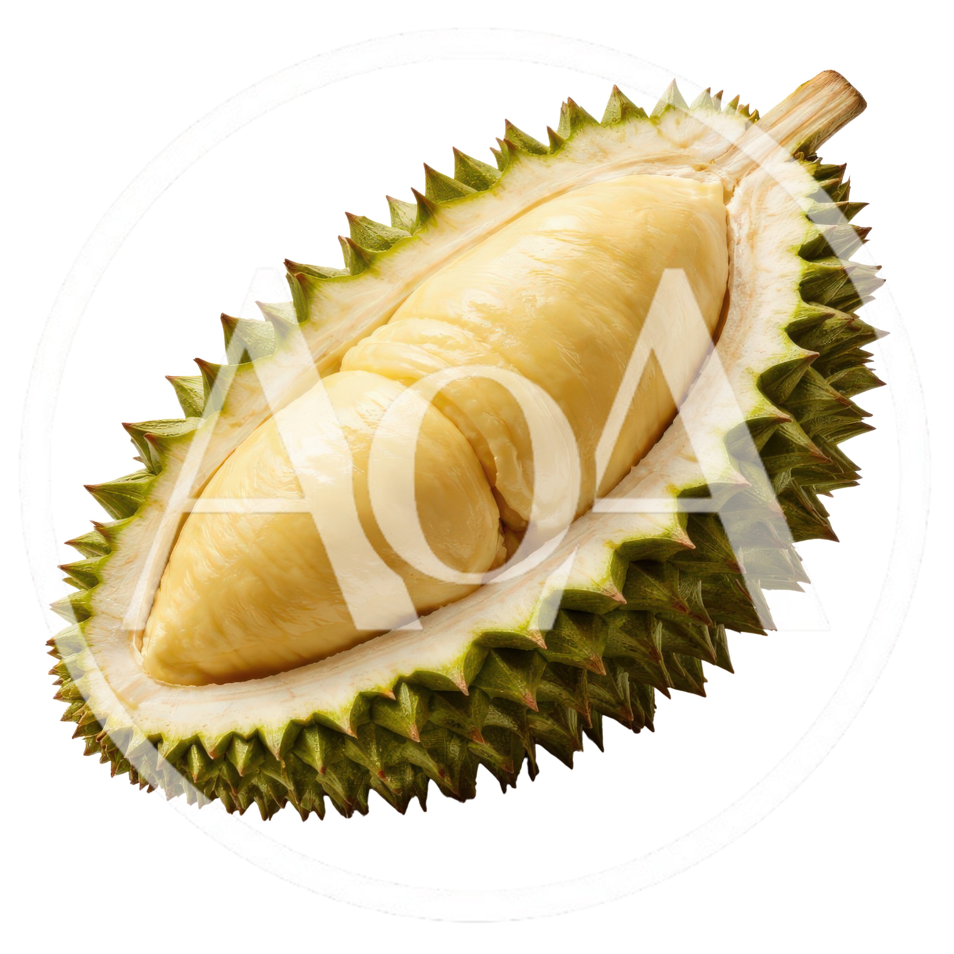 Fresh Durian Fruit Half With Creamy Yellow Flesh