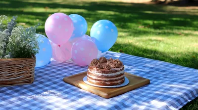 Chocolate Cake With Balloons On A Picnic Blanket