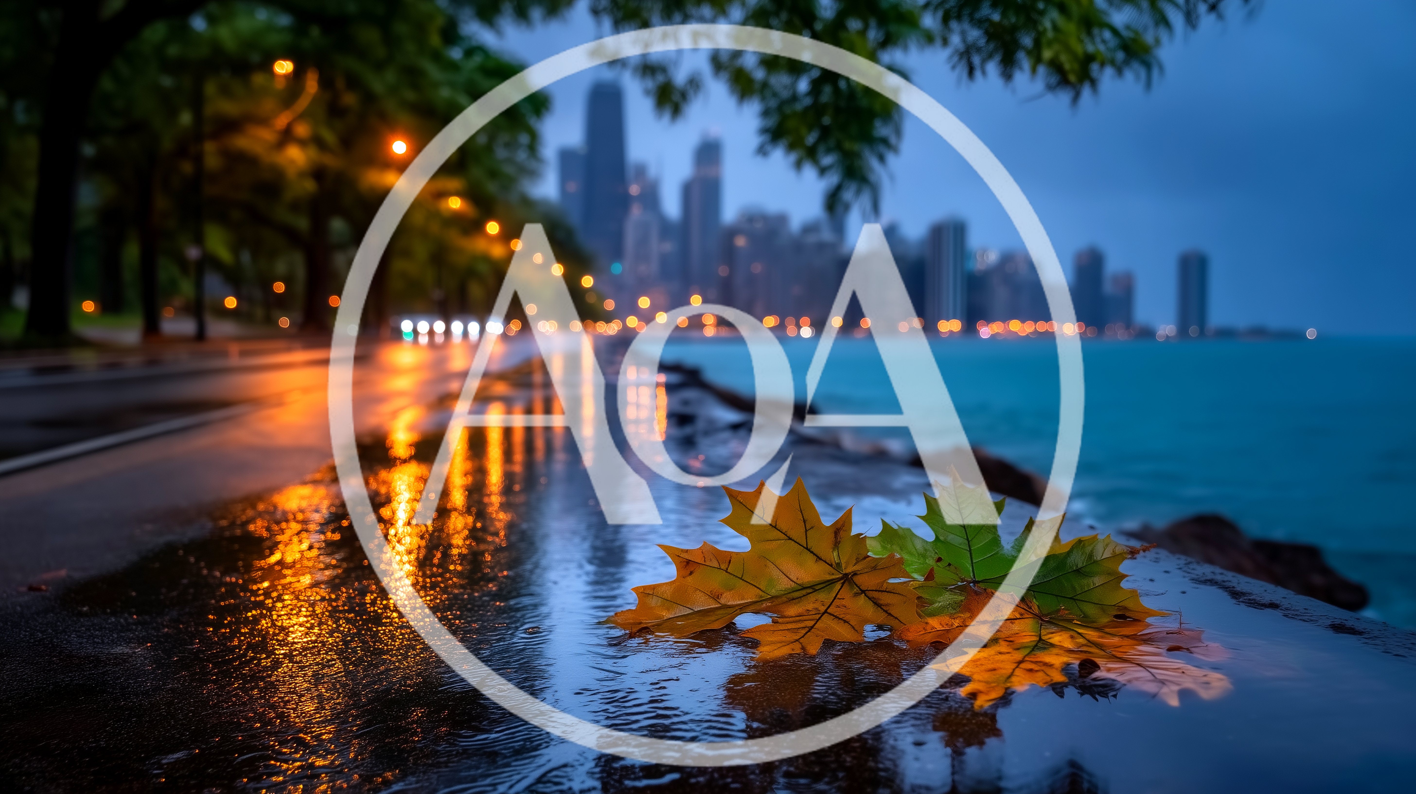Autumn Maple Leaves On Wet Chicago Lakefront Path