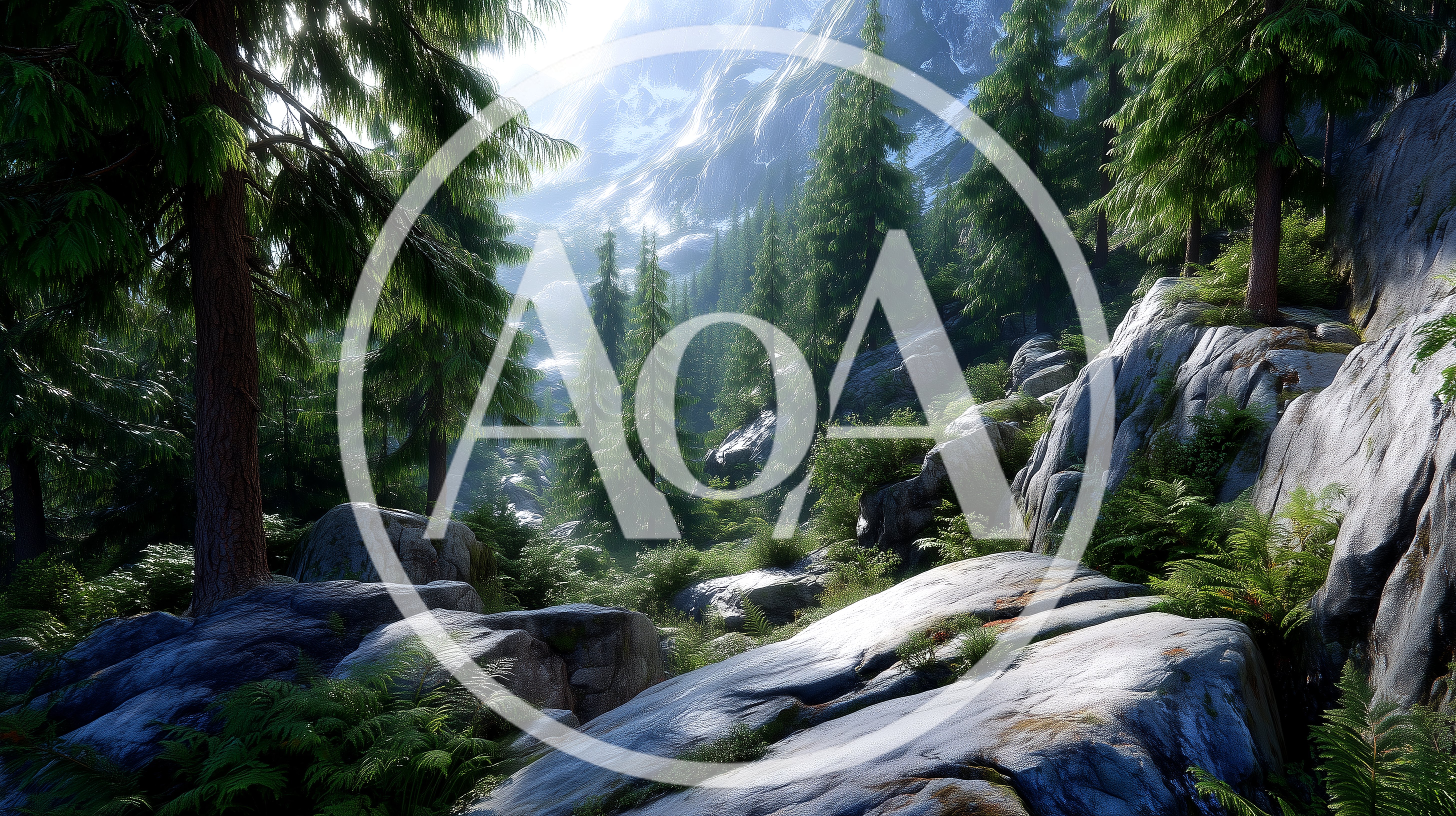Sunlit Coniferous Forest In A Mountain Valley