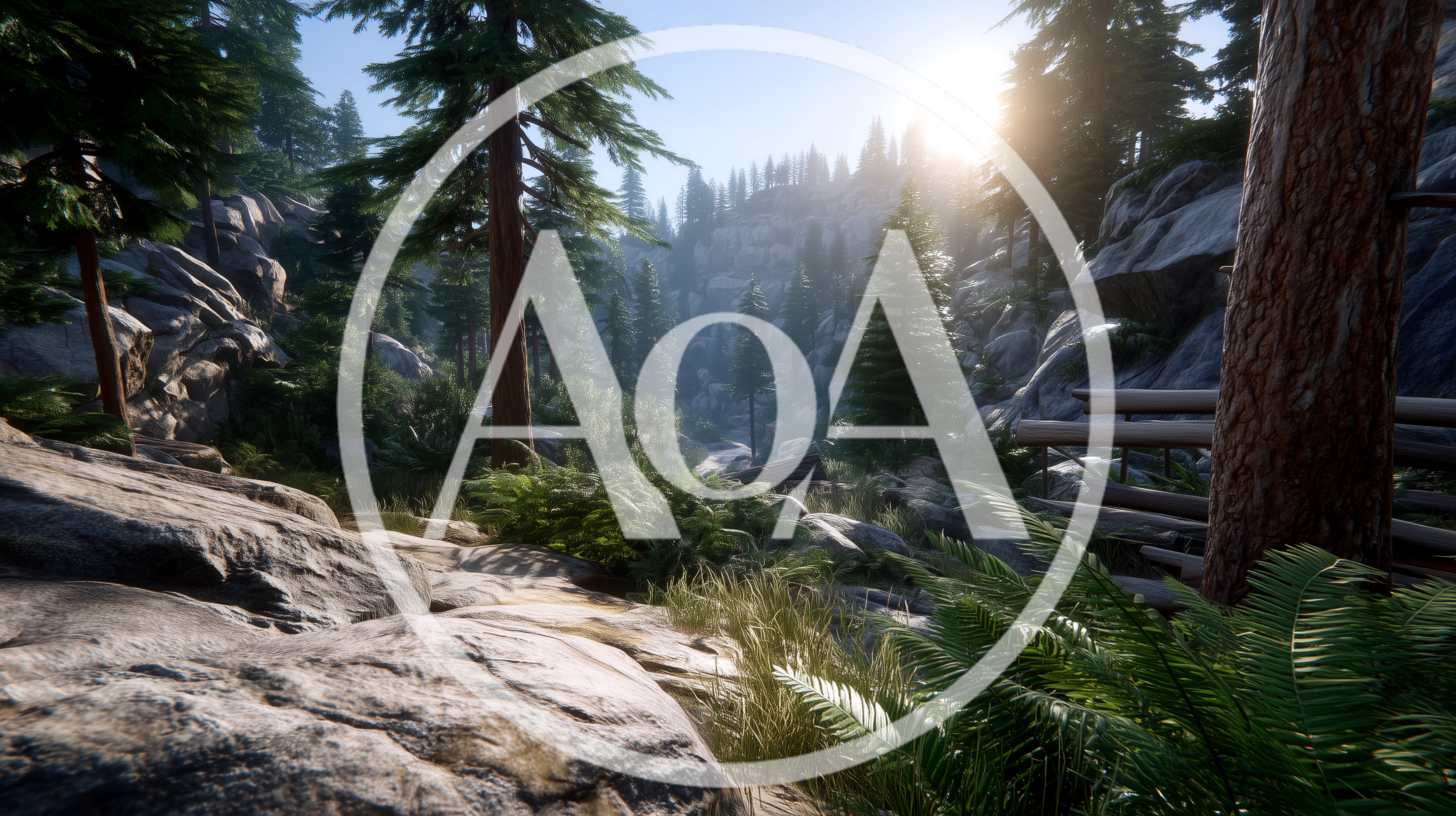 Sunlight Filtering Through A Dense Mountain Forest