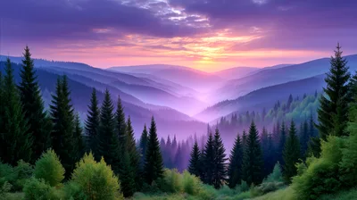 Purple Sunset Over Misty Mountain Forest Valley