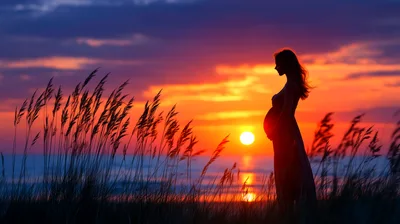 Pregnant Woman Silhouette Standing In Tall Grass At Sunset