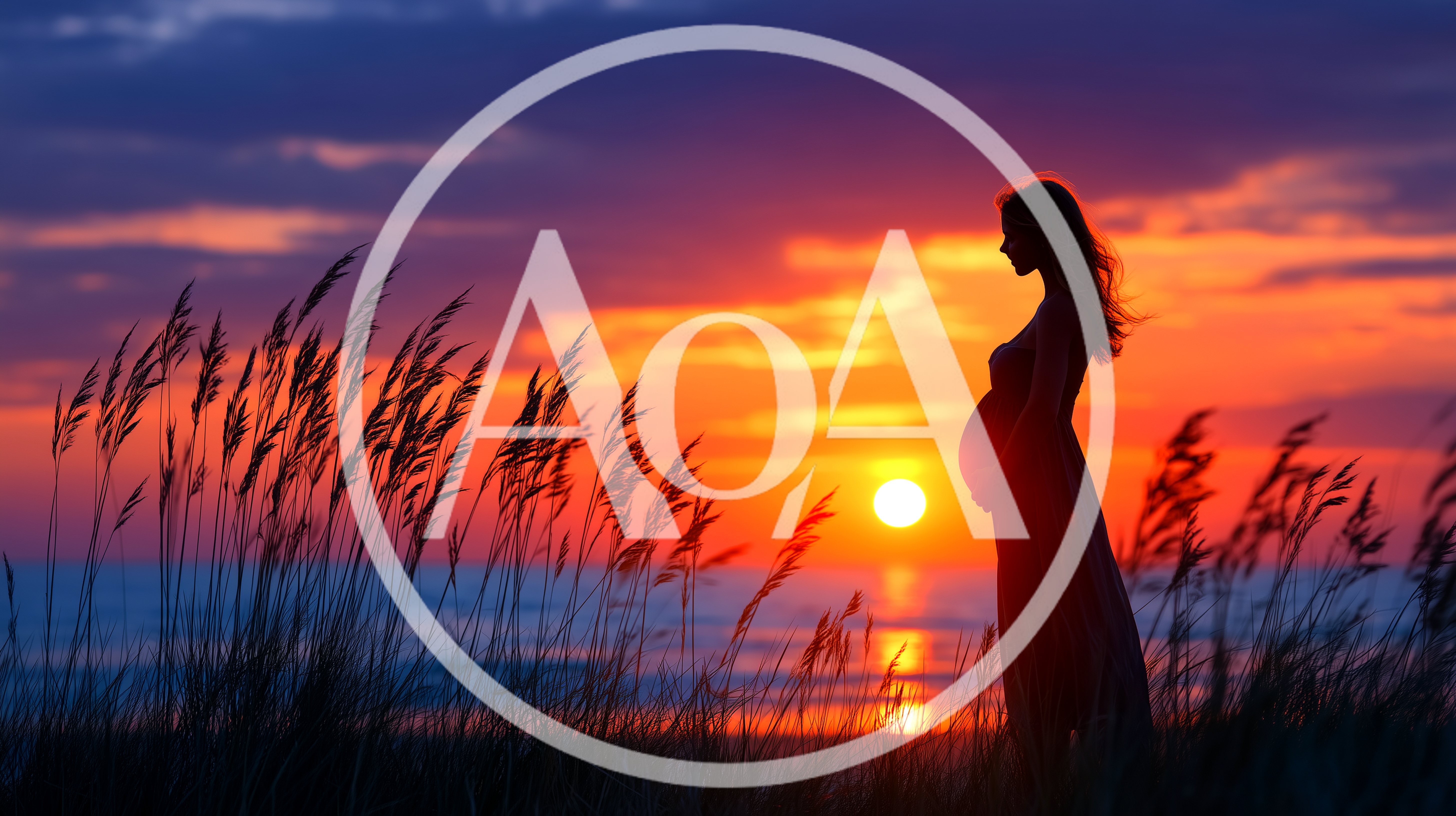 Pregnant Woman Silhouette Standing In Tall Grass At Sunset