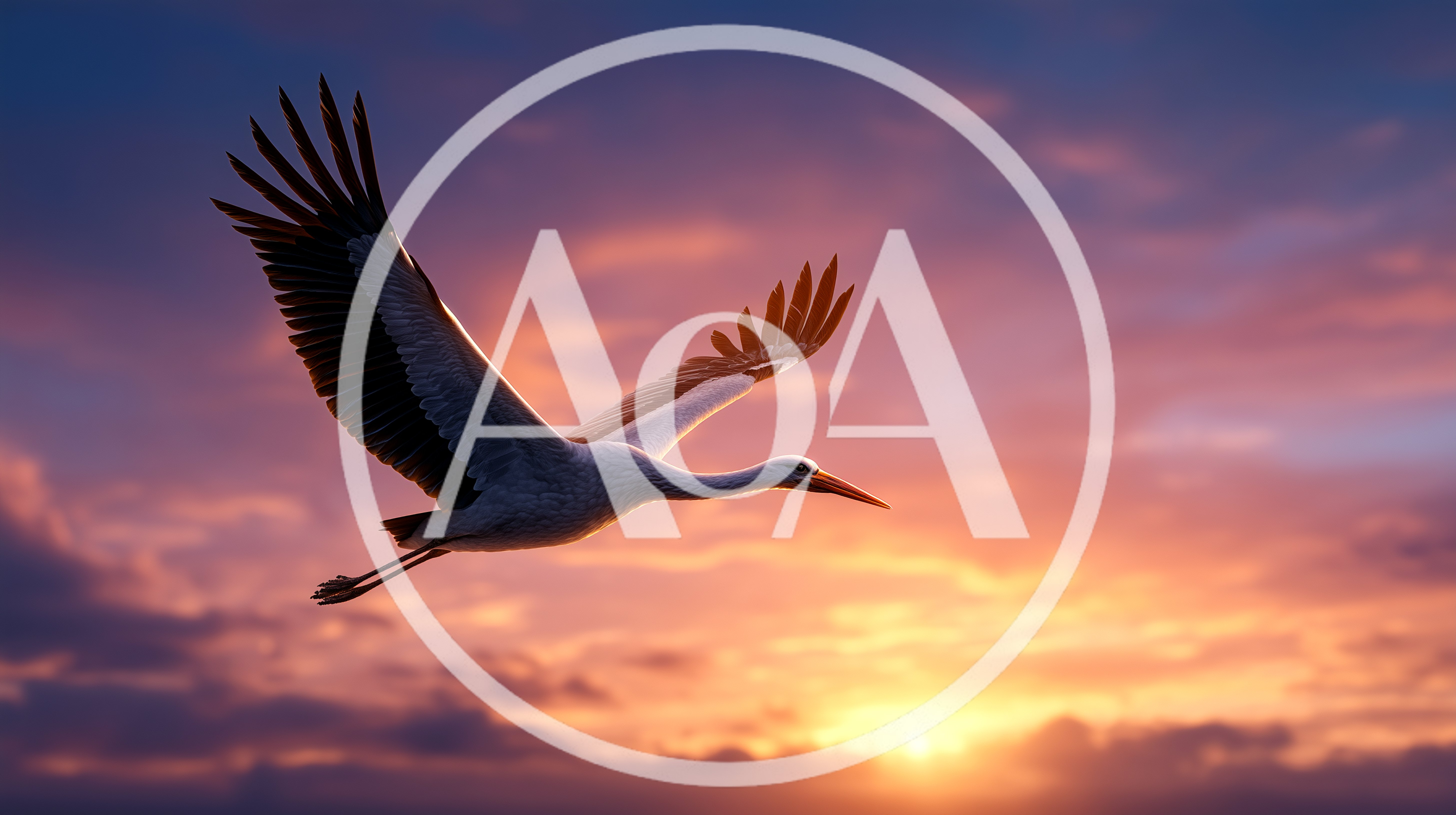 White Stork Flying Against A Vibrant Sunset Sky