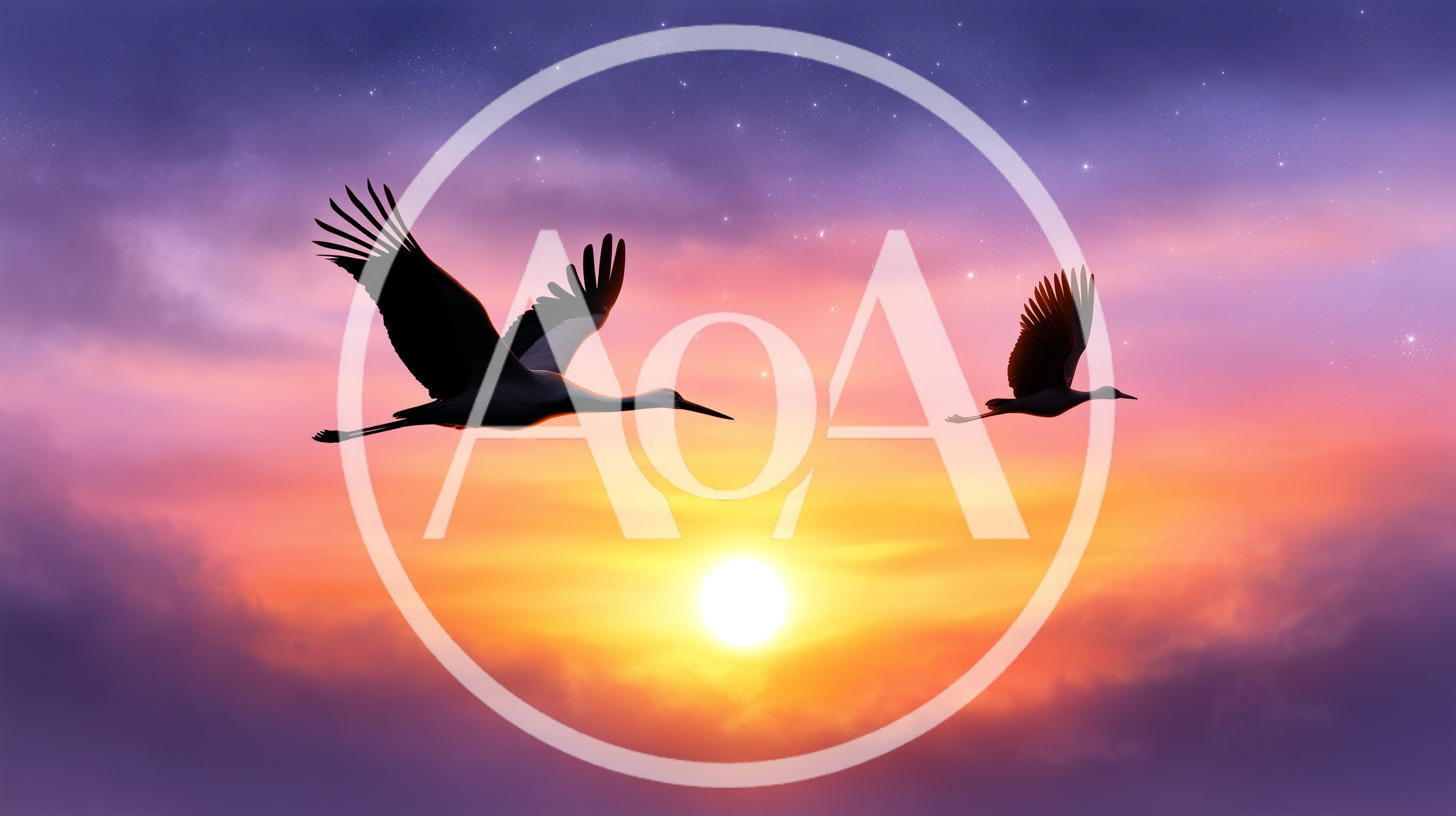 Two Cranes Flying Against A Vibrant Sunset Sky