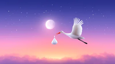 Stork Carrying A Baby Bundle In The Night Sky