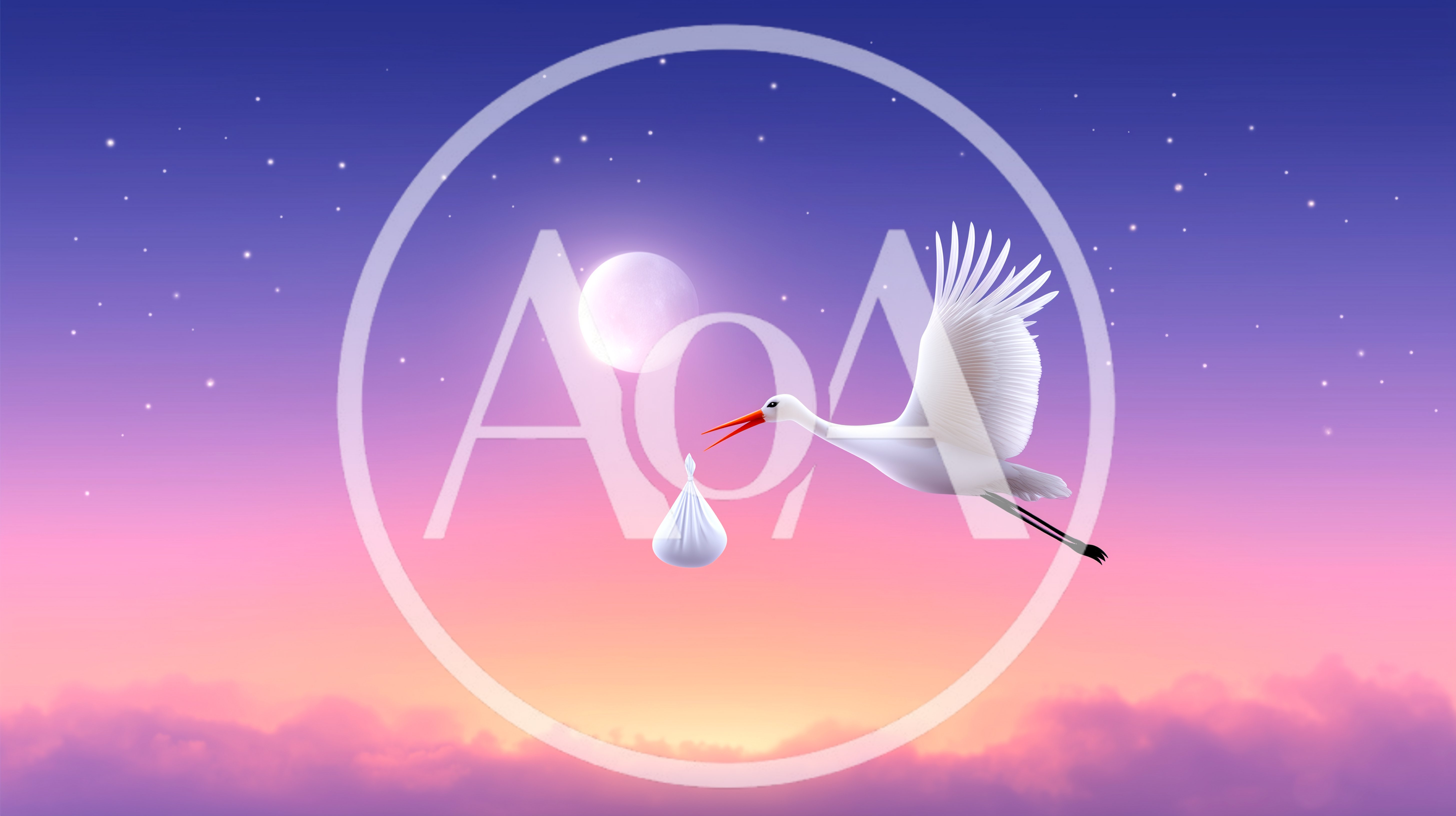 Stork Carrying A Baby Bundle In The Night Sky