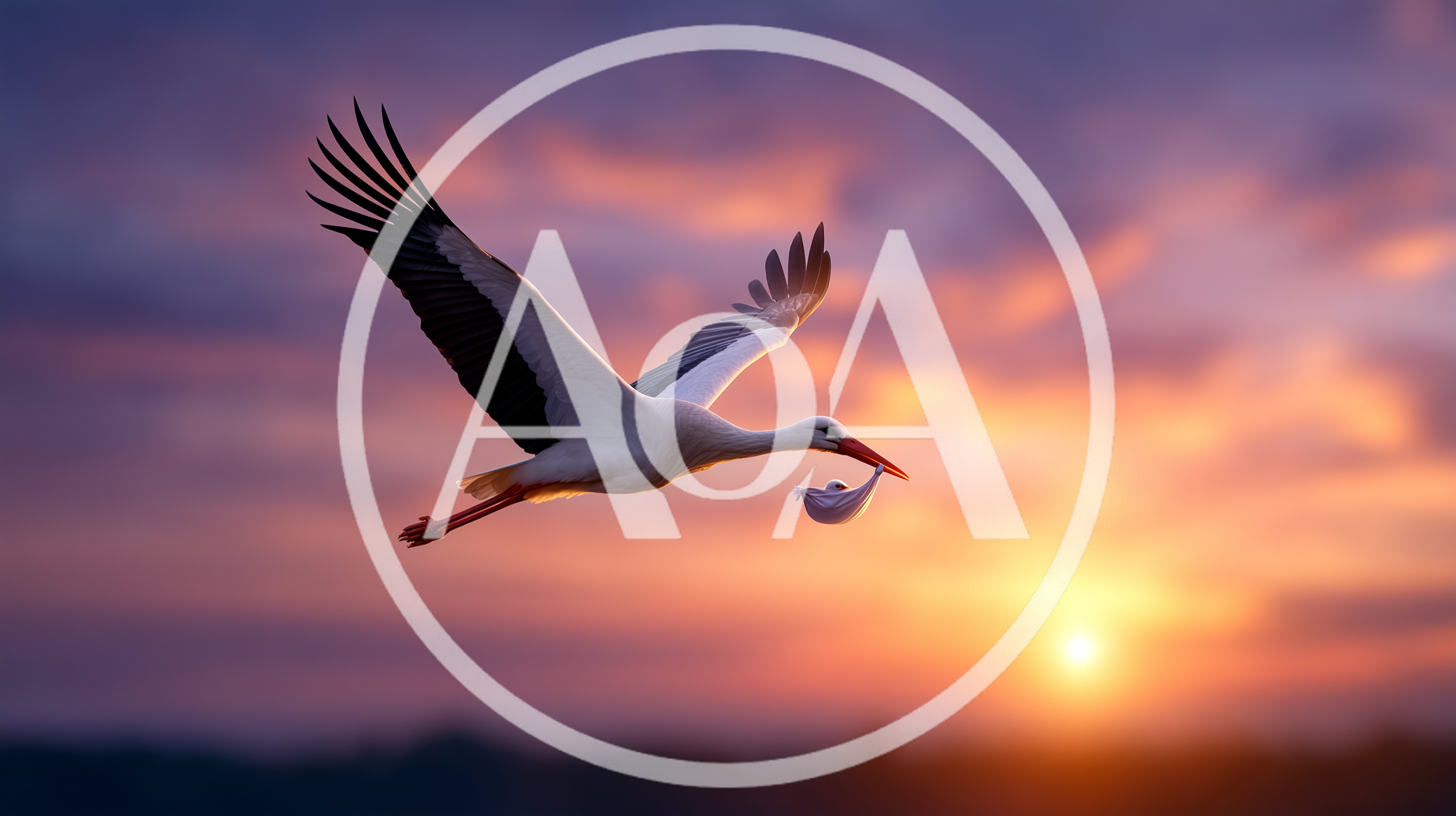 White Stork Flying With A Baby Bundle At Sunset