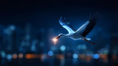 White Stork Flying With Glowing Light In Beak