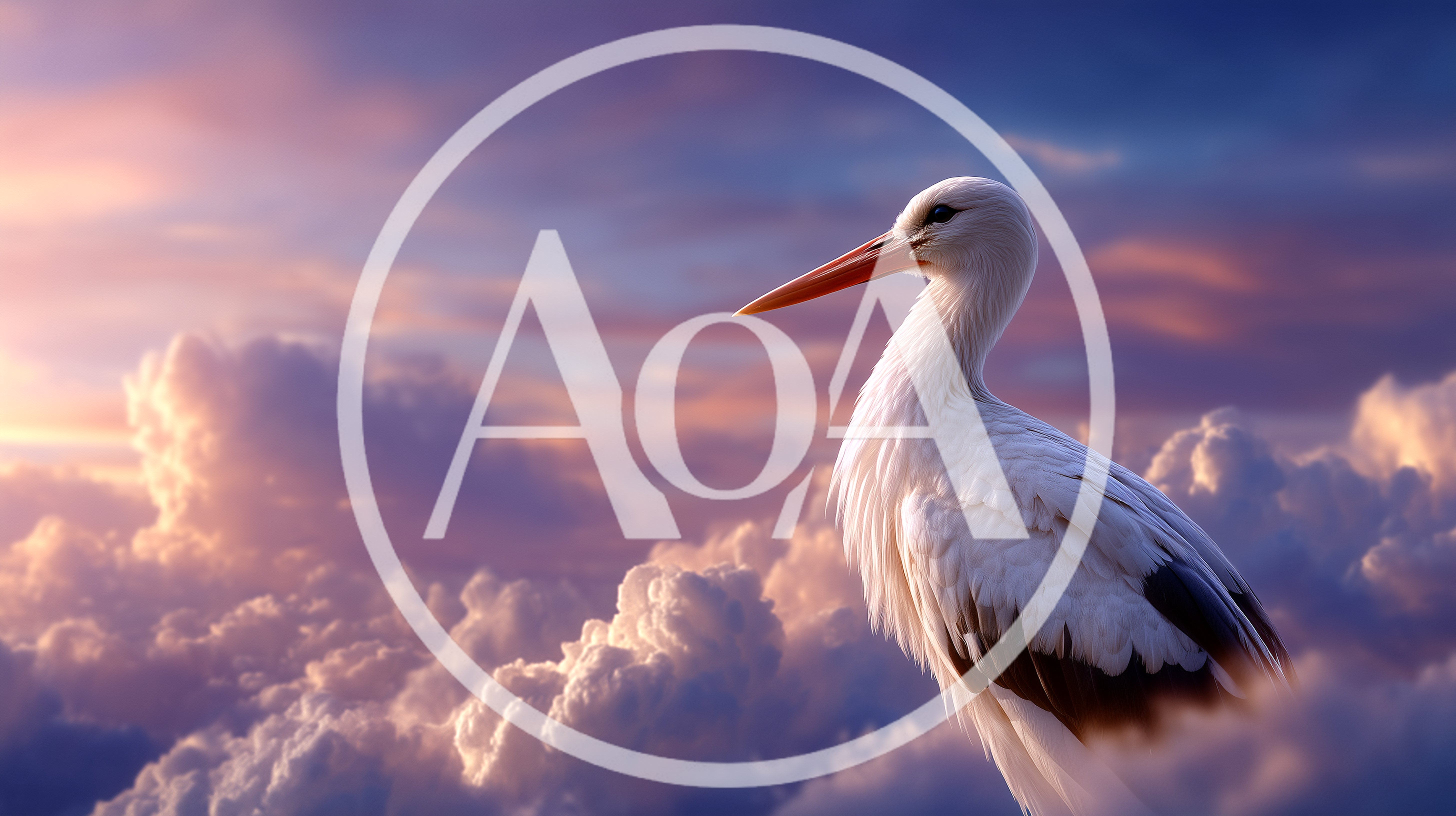 White Stork Soaring Above Clouds at Sunset