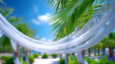 White Wedding Drapes Swaying Under Tropical Palm Trees