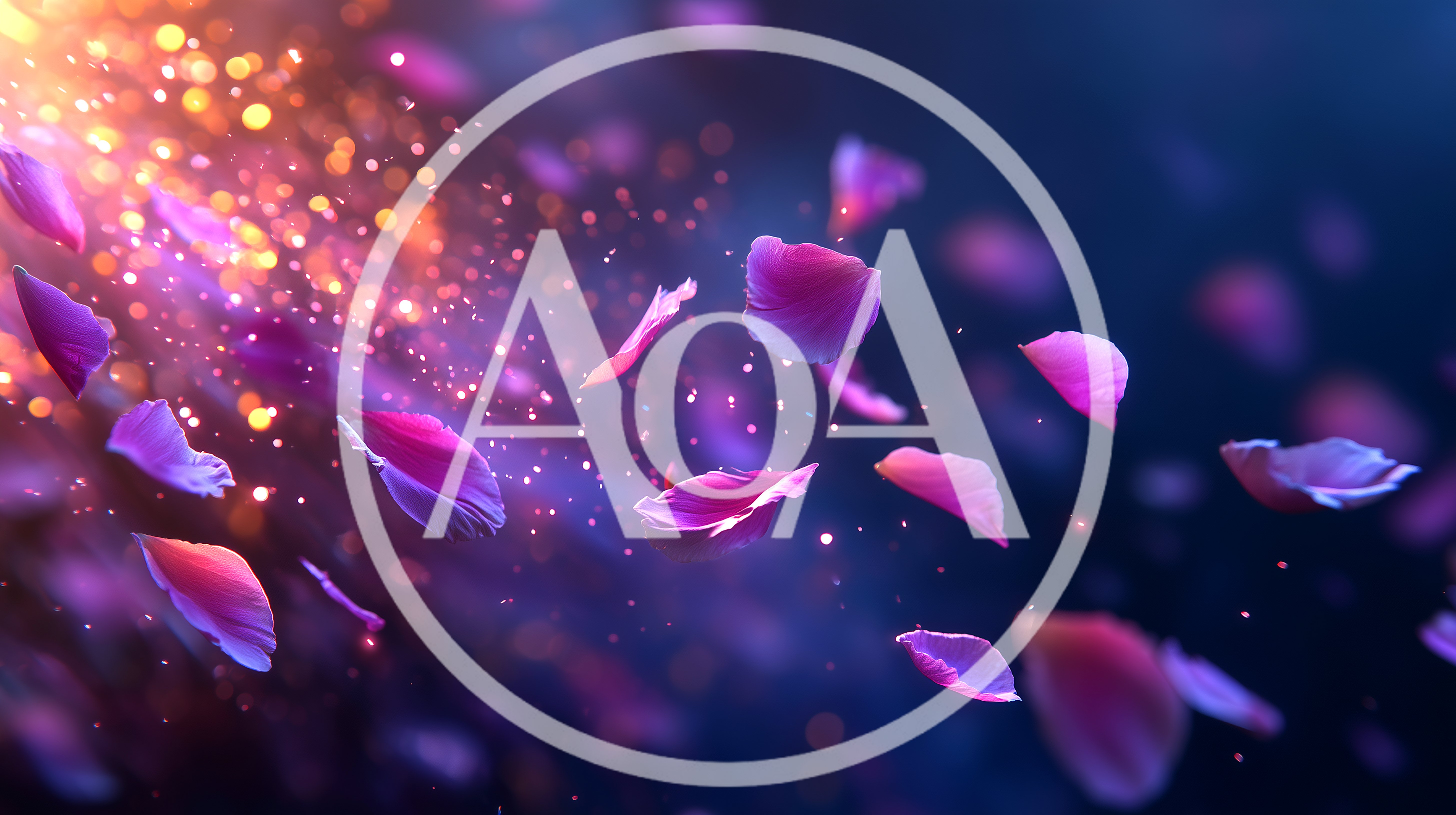 Floating Pink Flower Petals With Glowing Bokeh Particles
