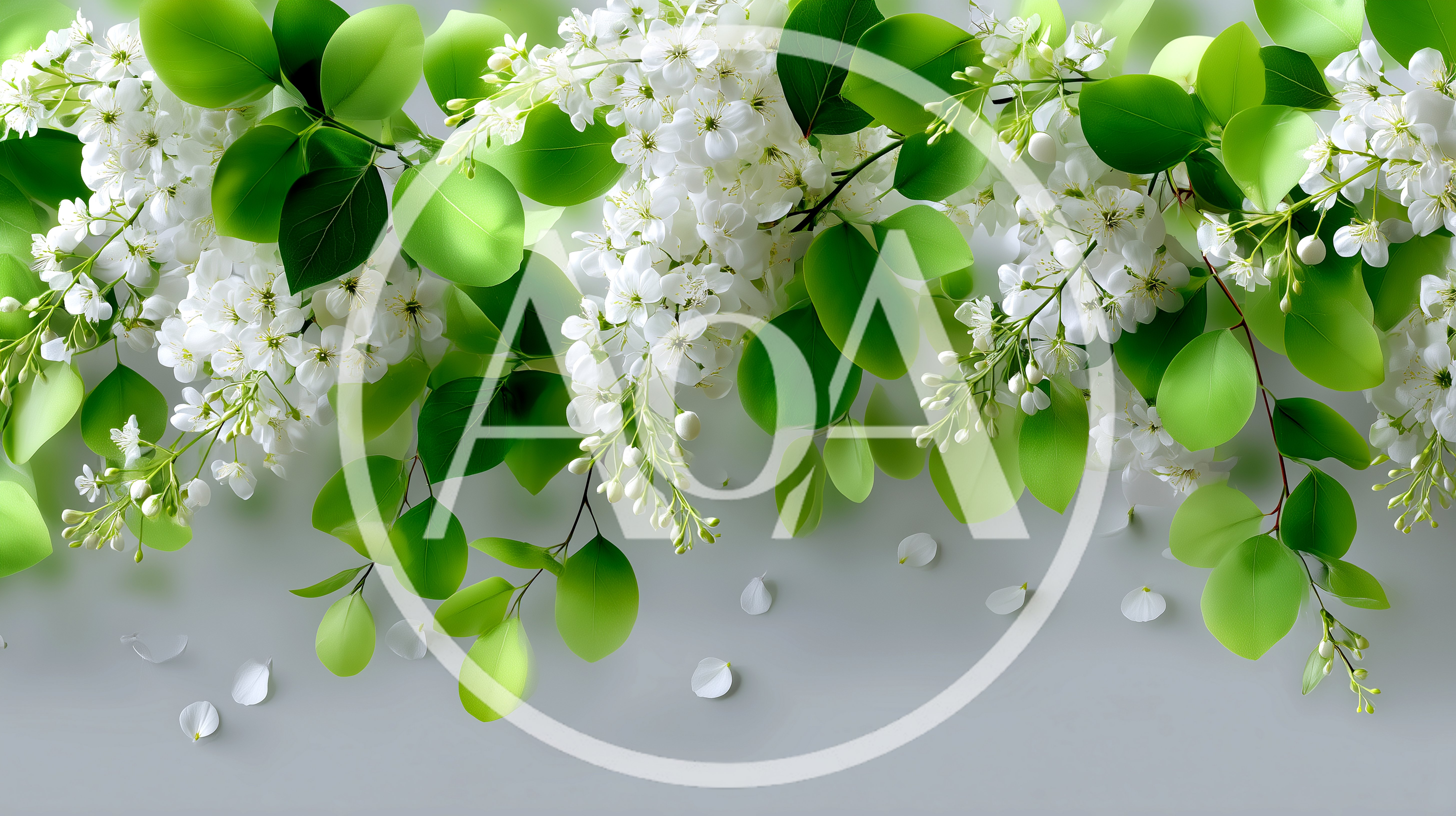 White Lilac Flowers With Green Leaves On Grey Background