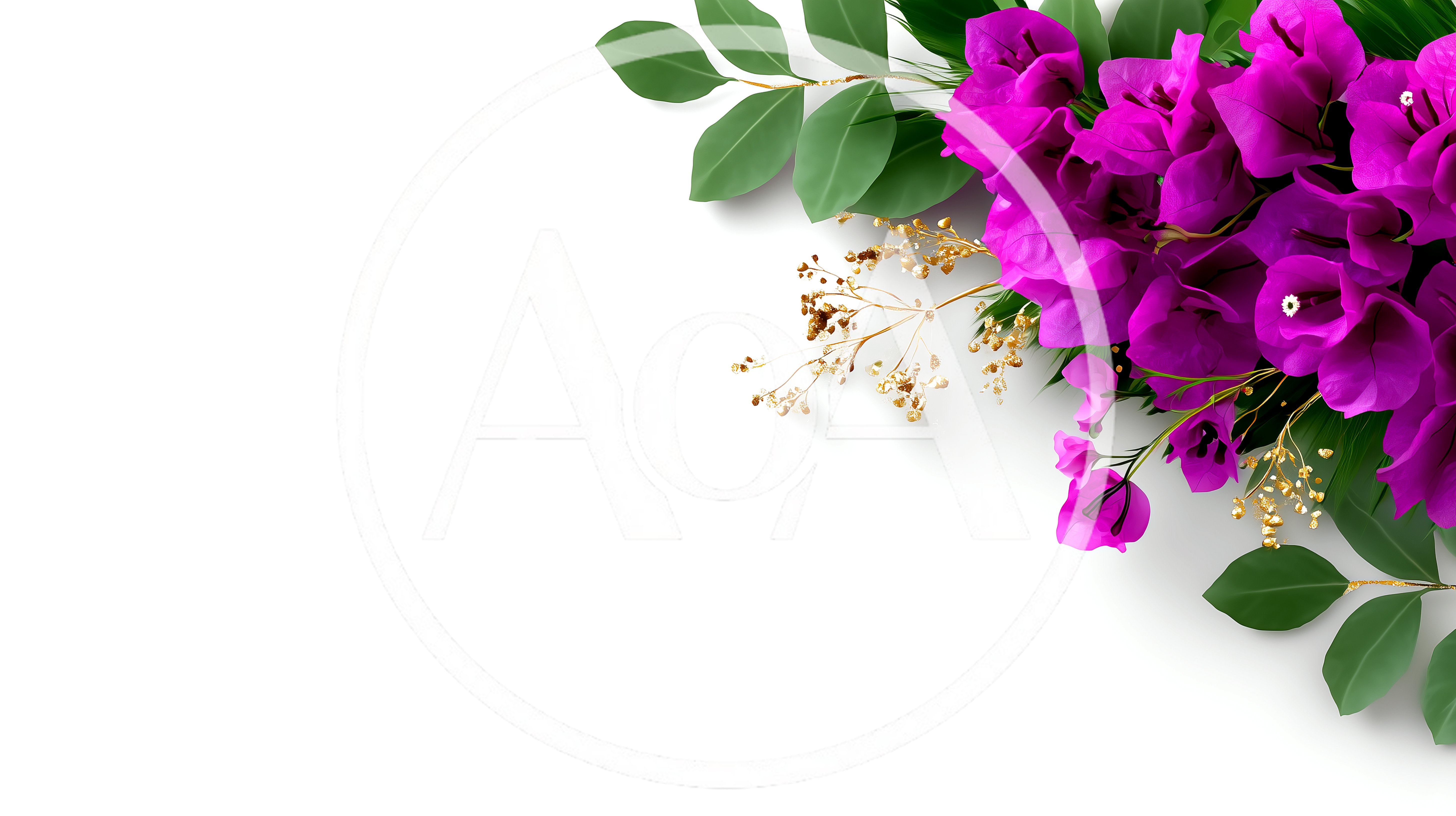 Bougainvillea Flowers With Gold Accents On White Background
