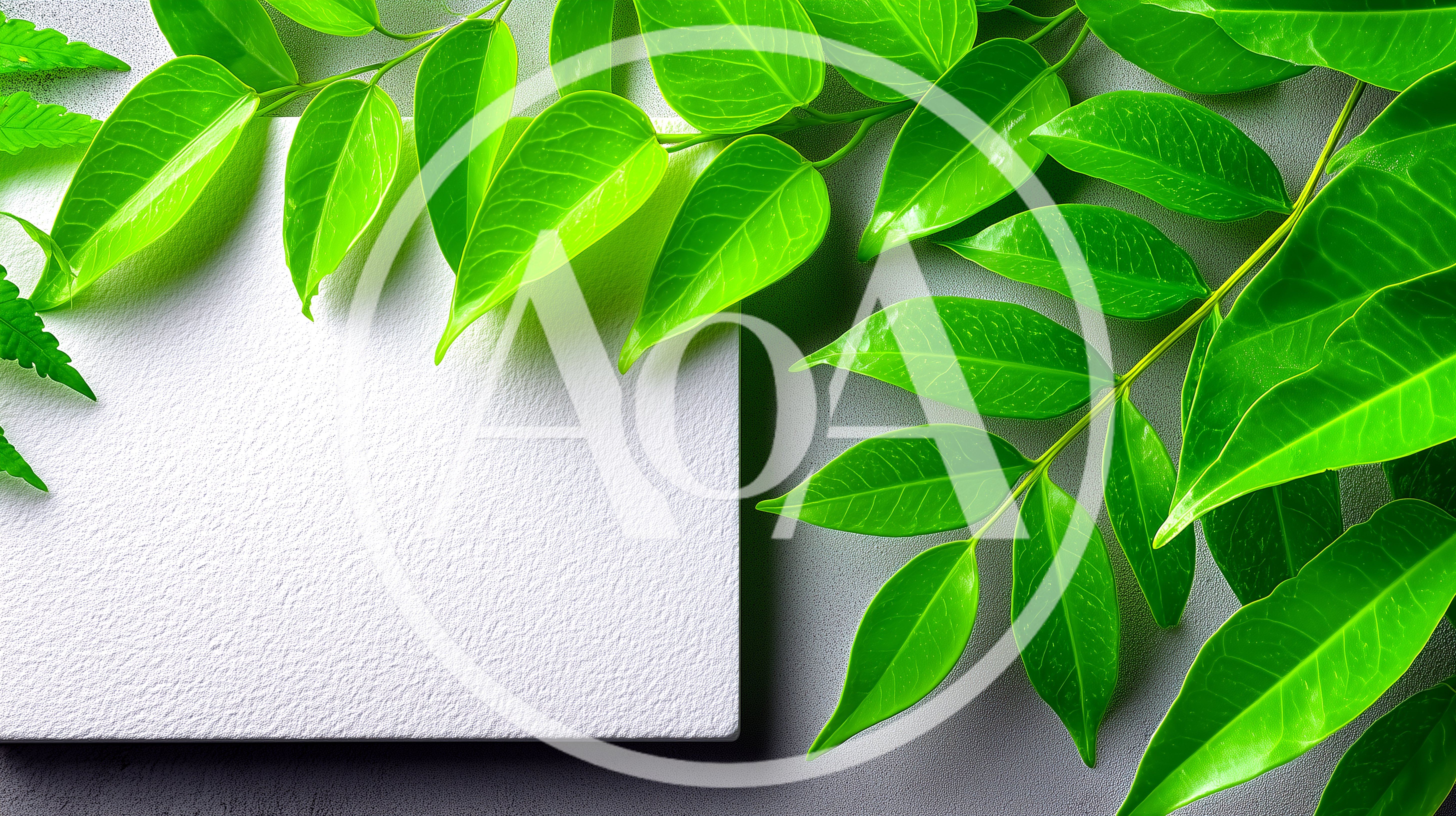 Fresh Green Leaves Bordering A Blank White Card