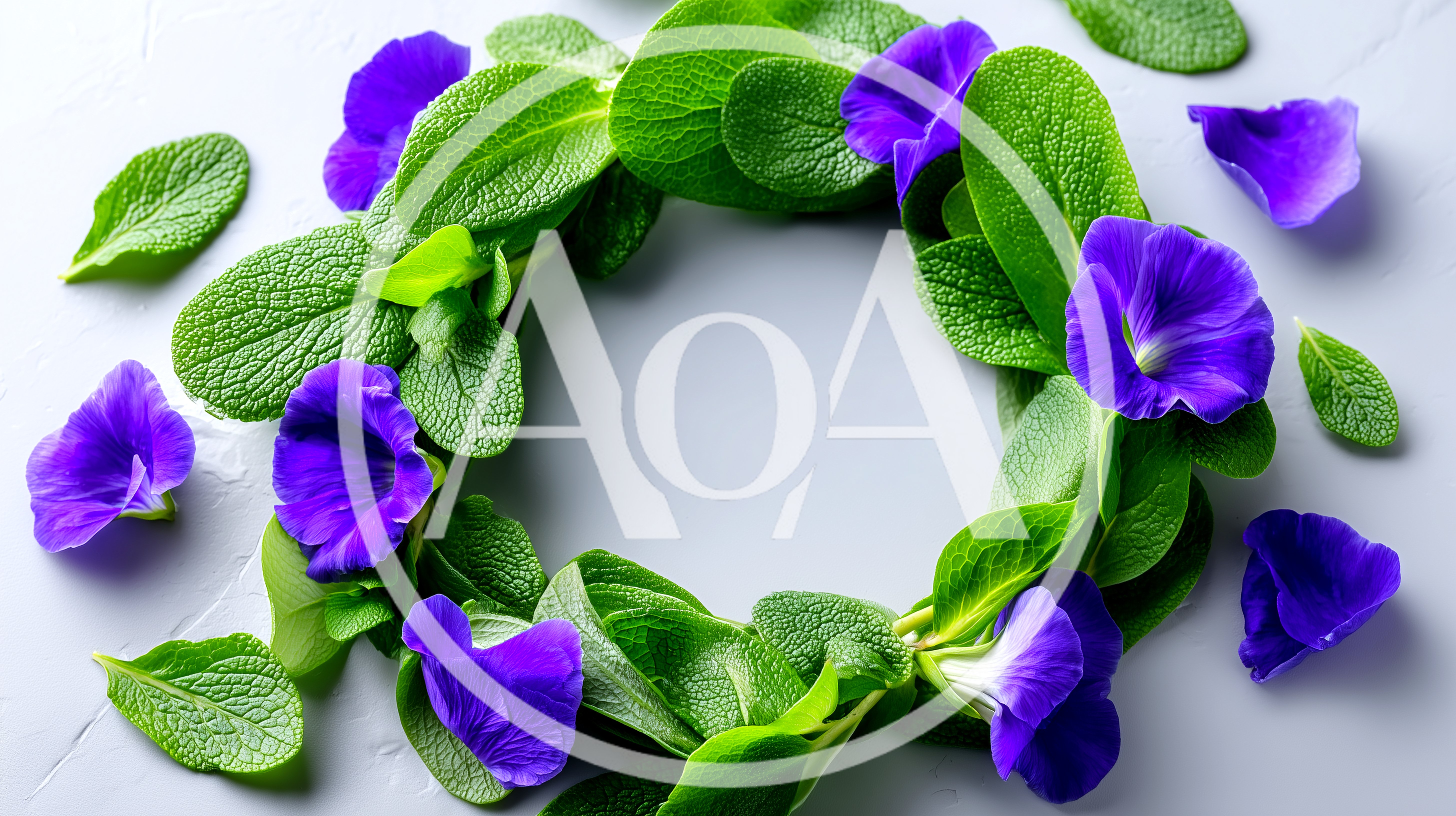 Wreath Of Green Leaves And Purple Flowers
