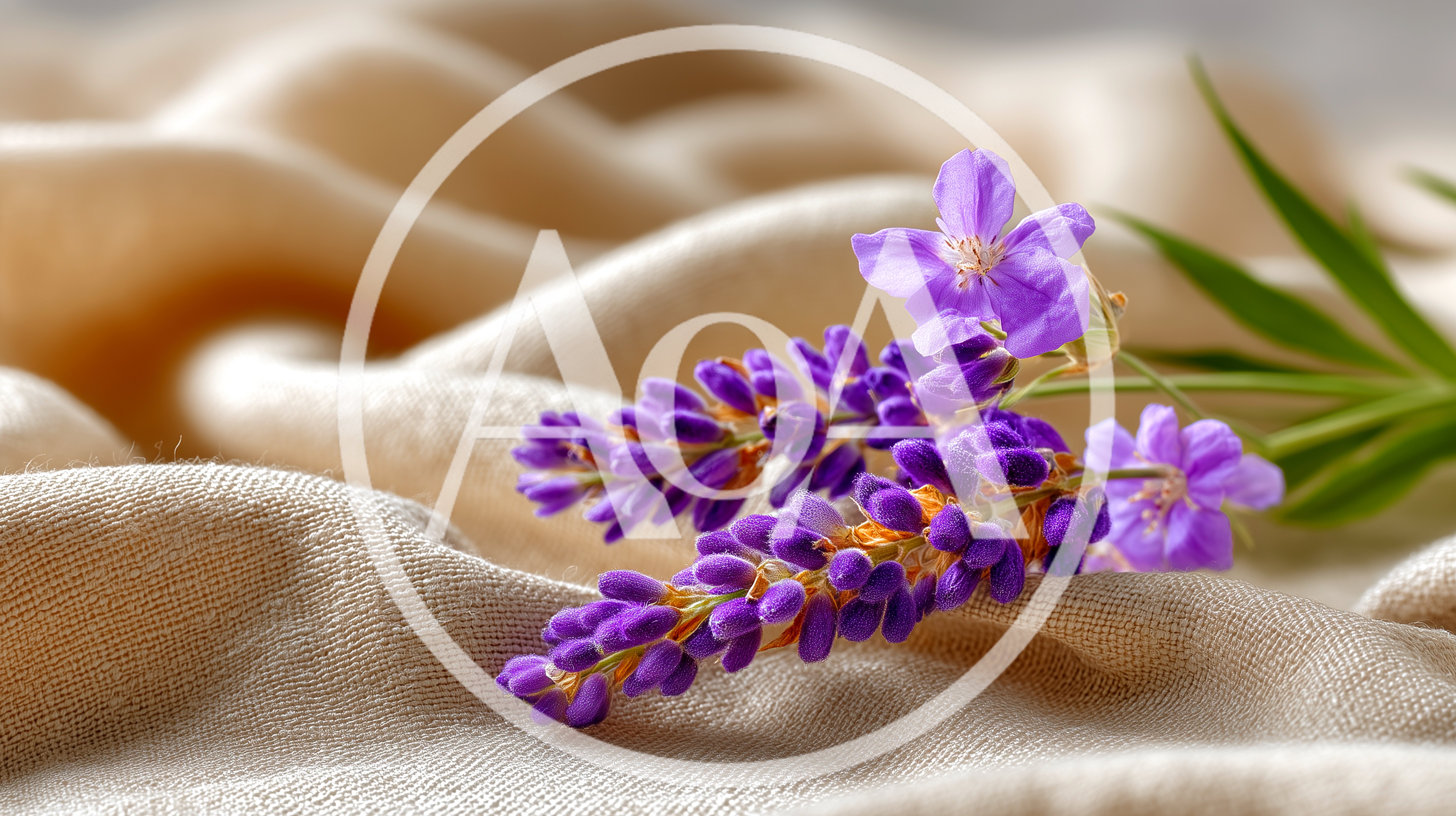 Purple Lupine Flowers Resting On Soft Beige Fabric