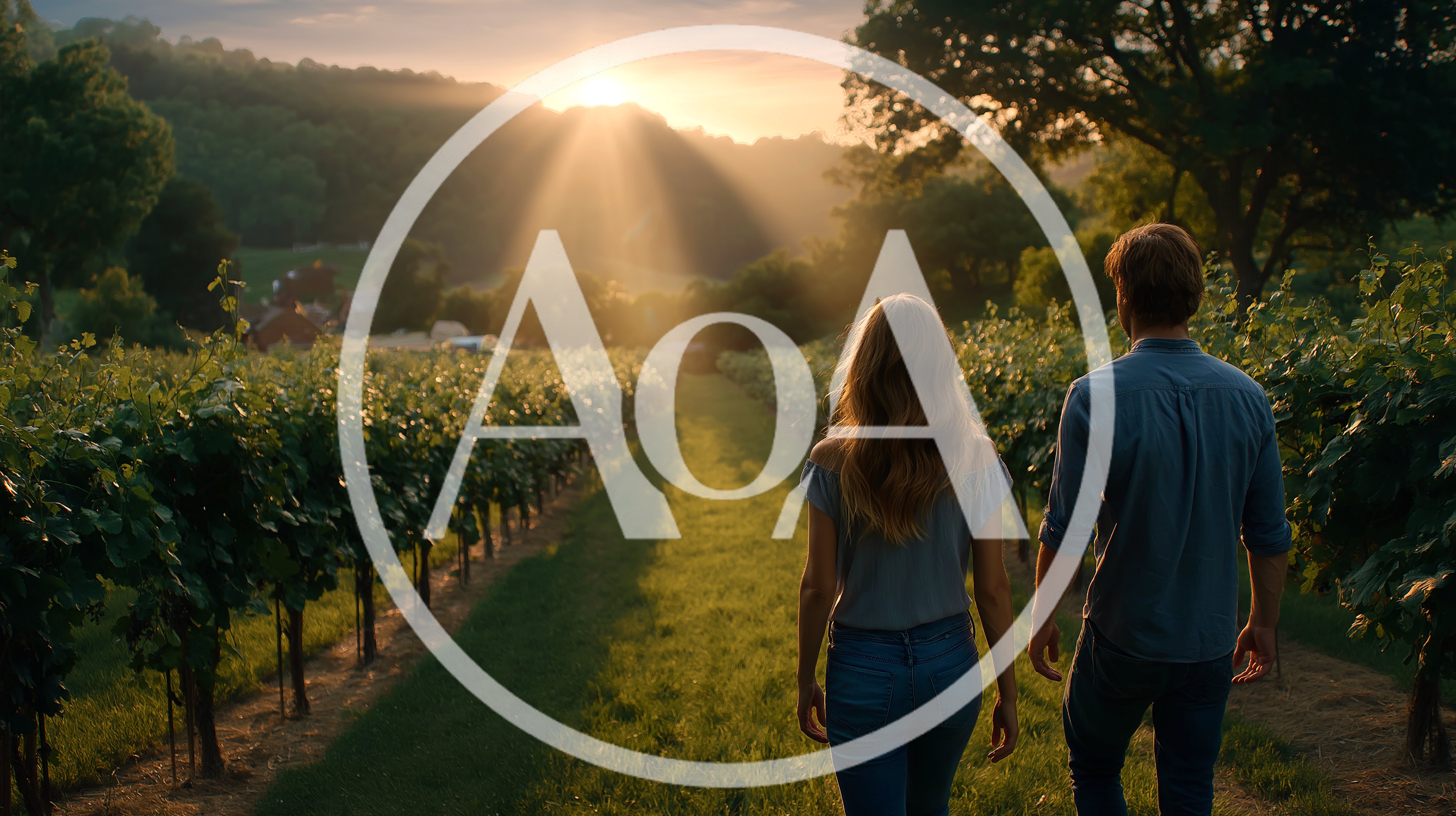 Couple Walking Through A Vineyard At Sunset