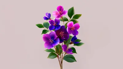 Vibrant Purple And Pink Flowers On A Stem