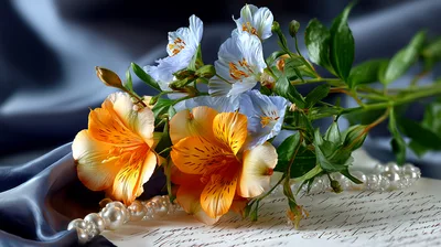 Orange Alstroemeria Flowers With Pearls And Handwritten Letter