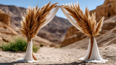 Boho Wedding Arch With Pampas Grass In Desert