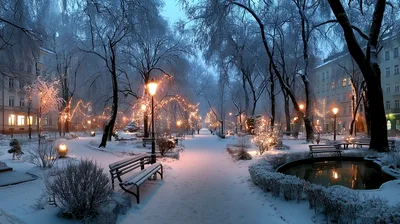 Snow Covered City Park At Twilight With Festive Lights