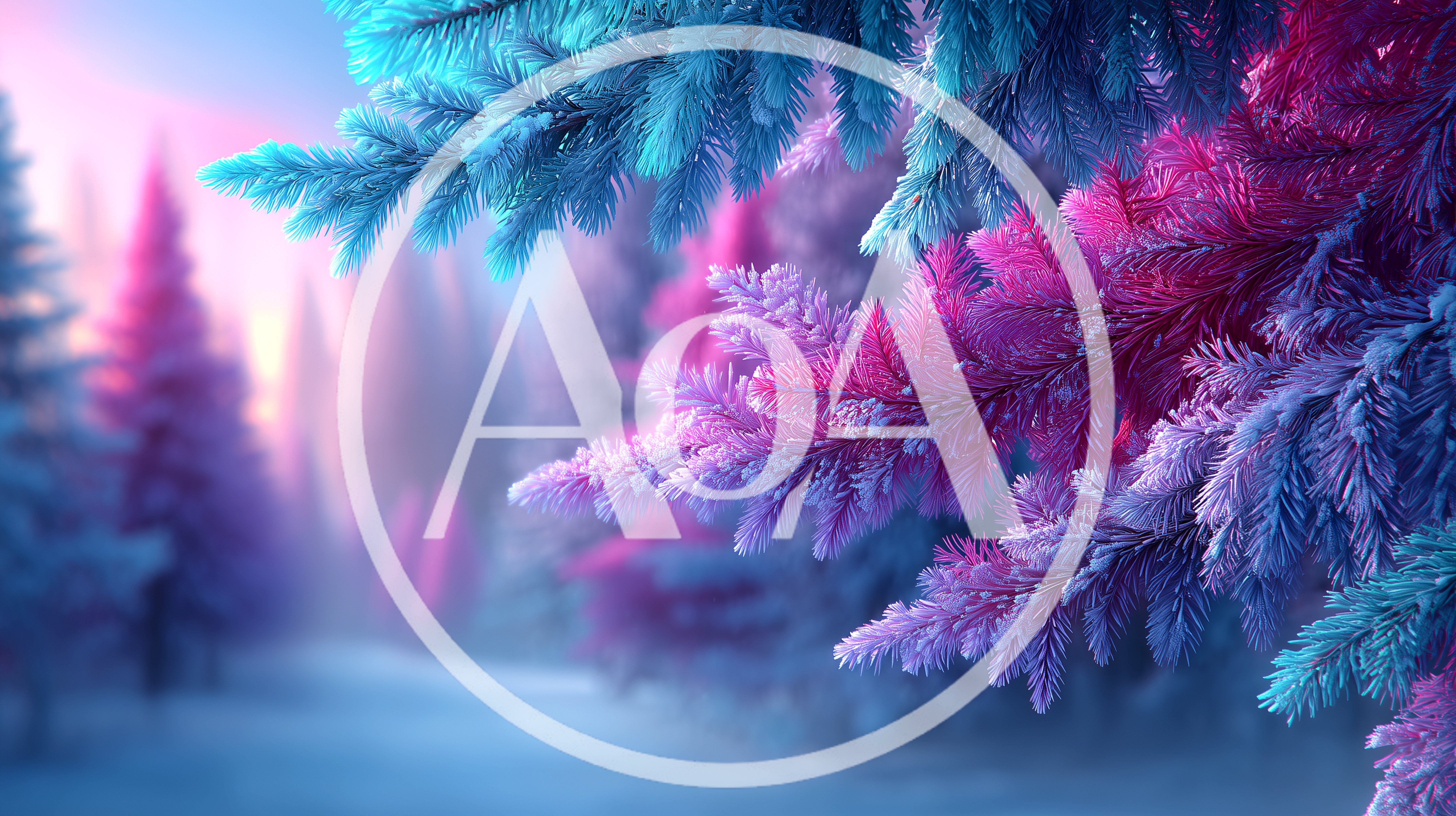 Frosty Pine Branches In A Magical Winter Forest
