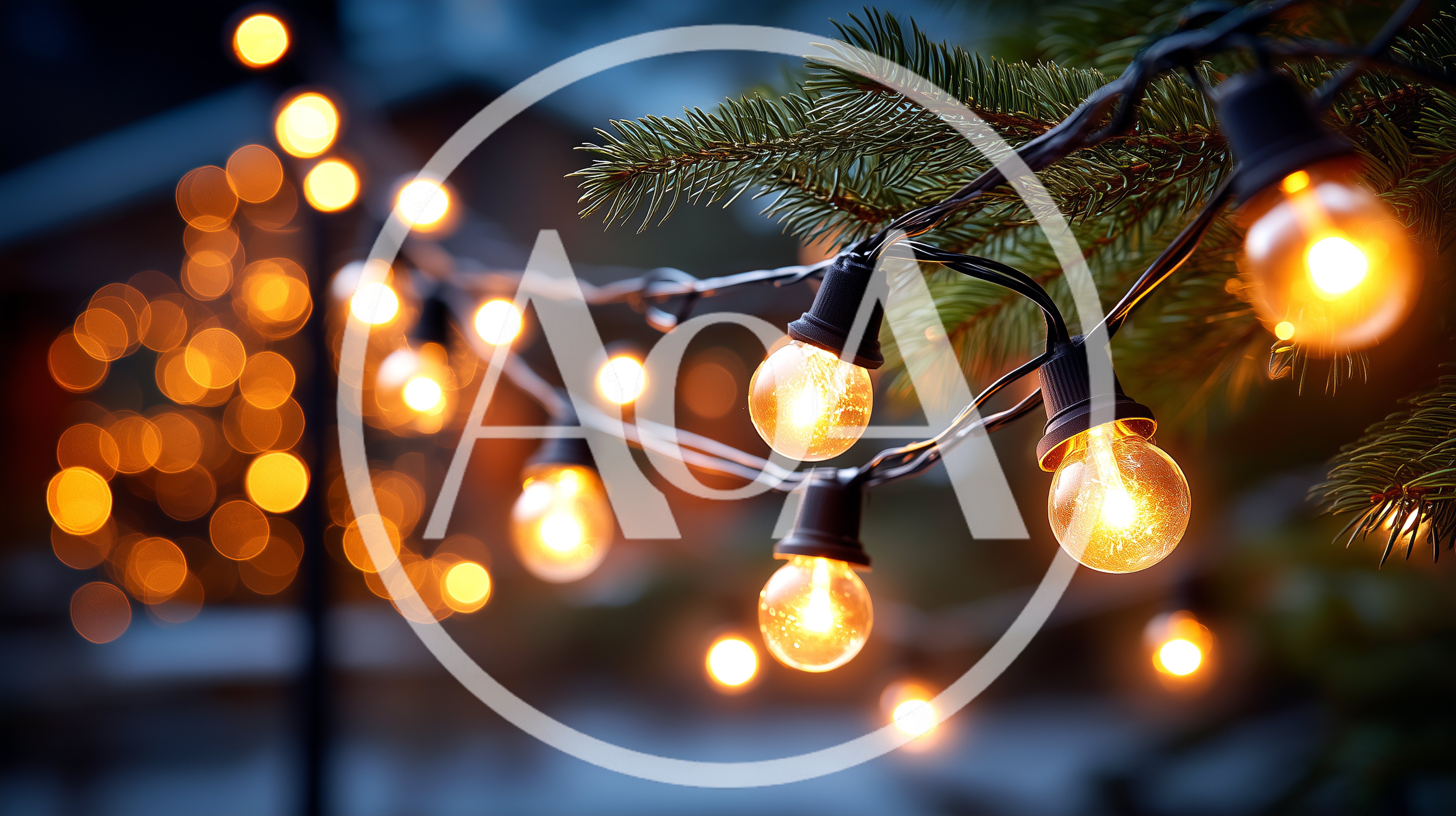 Glowing String Lights Hanging On Pine Tree Branches