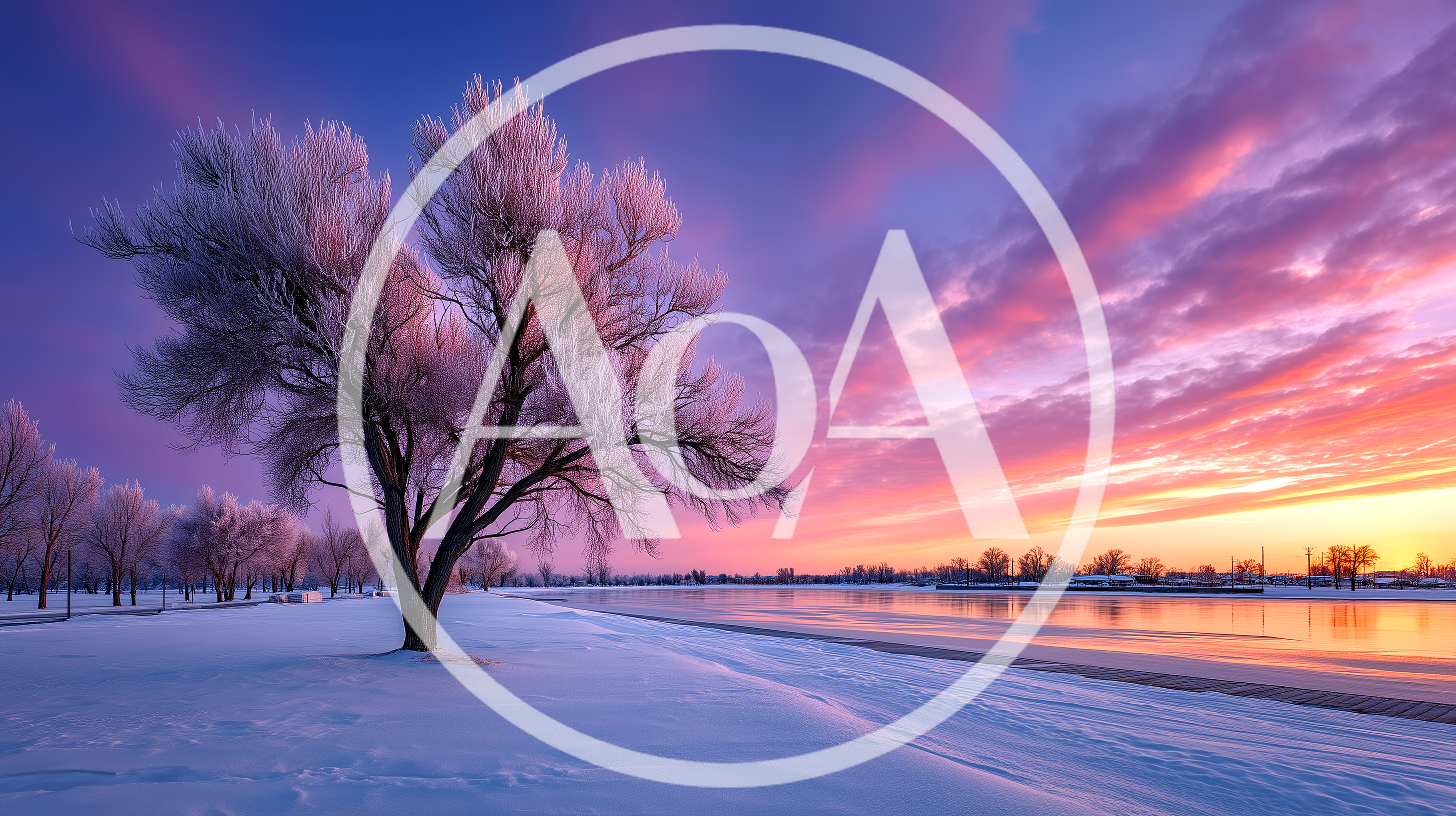 Frost Covered Tree At Sunset Over Frozen Lake
