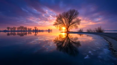 Lone Tree Silhouette At Sunset Over Calm Lake
