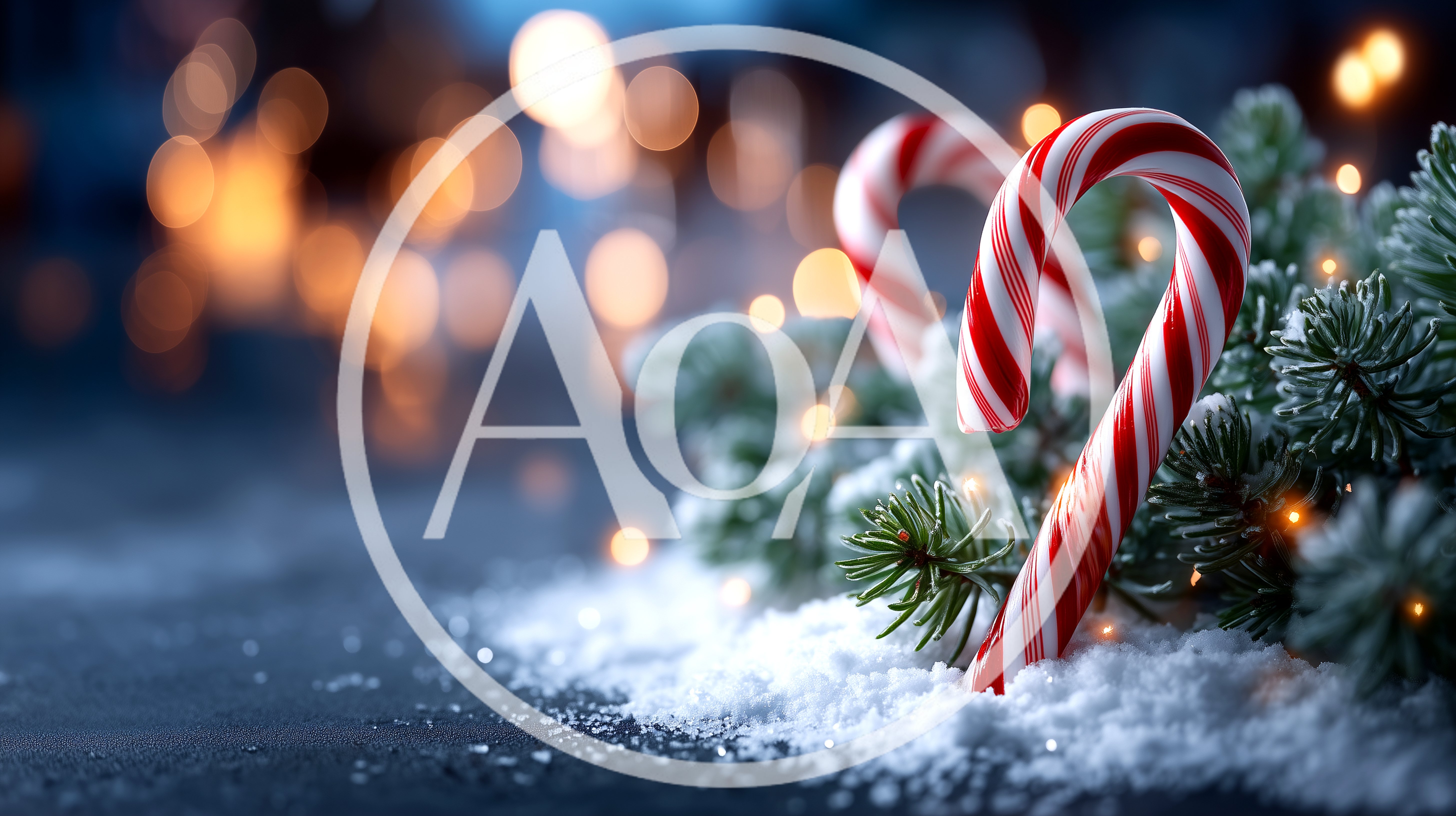 Two Candy Canes Resting In Snowy Pine Branches