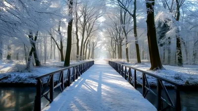 Snow Covered Wooden Bridge In A Winter Forest