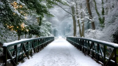 Snow Covered Bridge In A Winter Forest