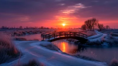 Wooden Footbridge Over Frozen Stream At Sunset