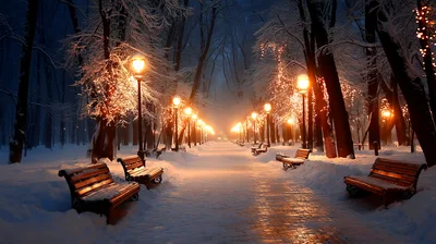 Snow Covered Park Path With Glowing Street Lamps