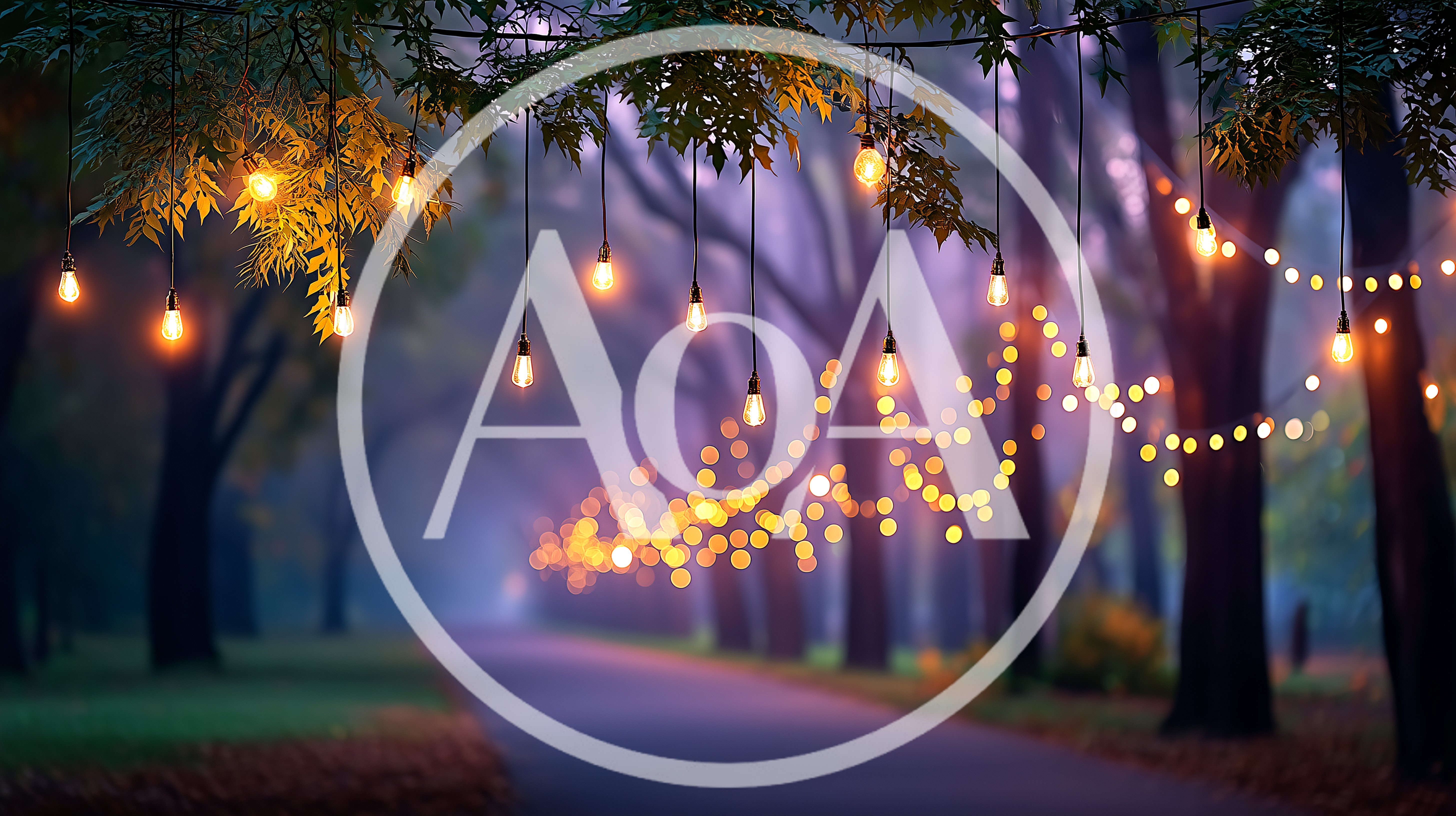 String Lights Hanging Over A Misty Forest Path