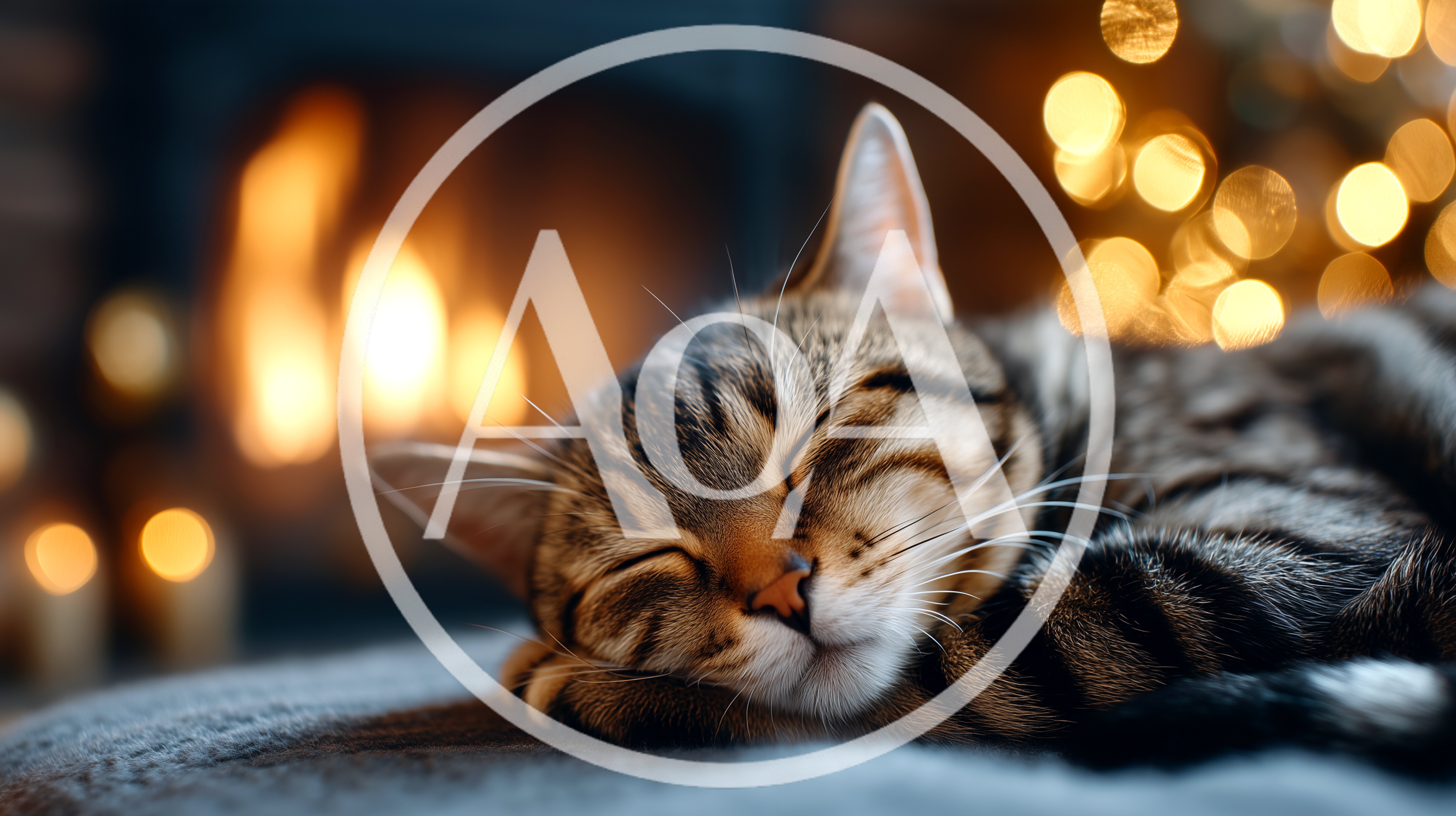 Tabby Cat Sleeping Peacefully By A Warm Fireplace