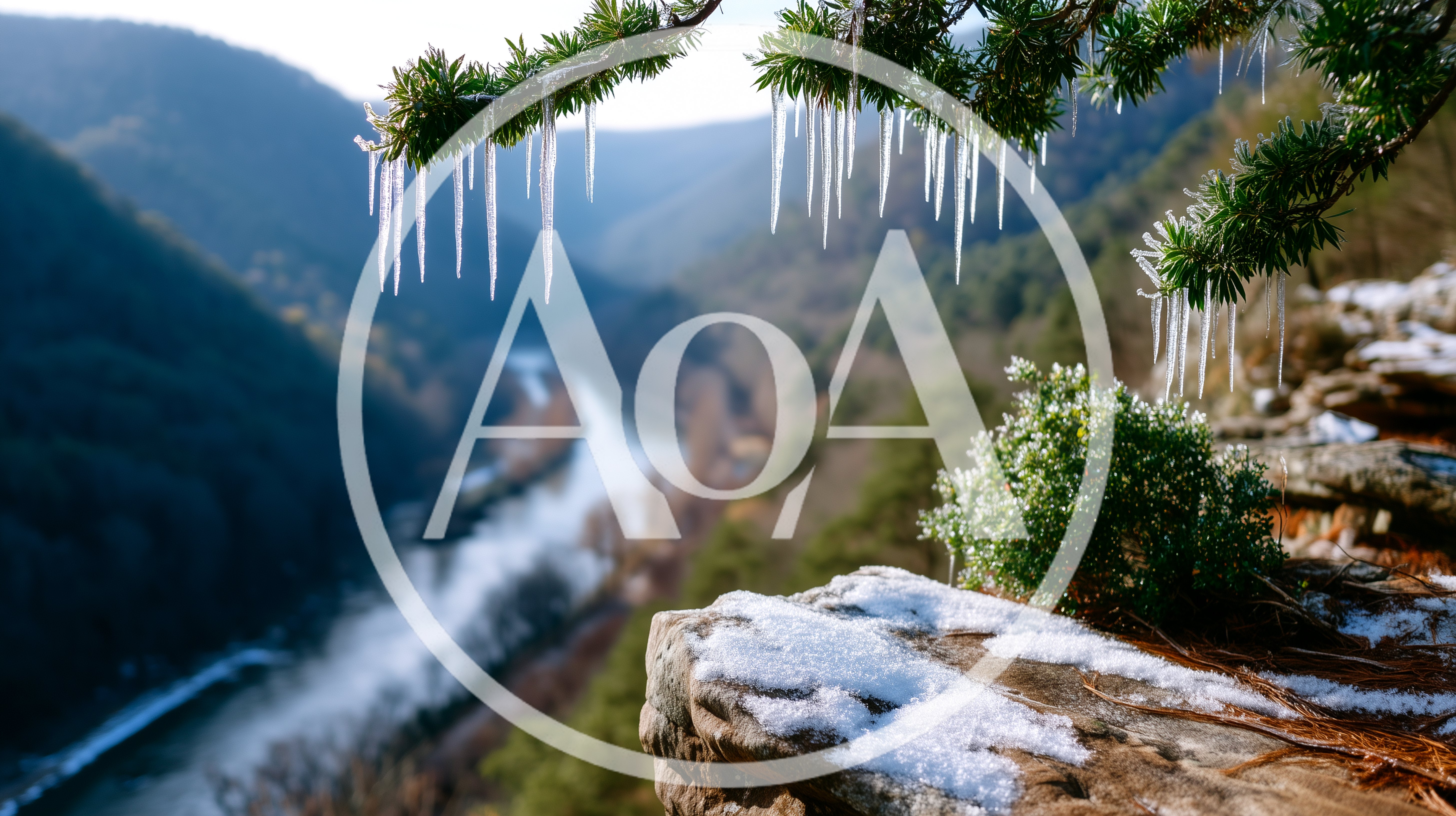 Icicles Hanging From Pine Branches Overlooking A River Valley